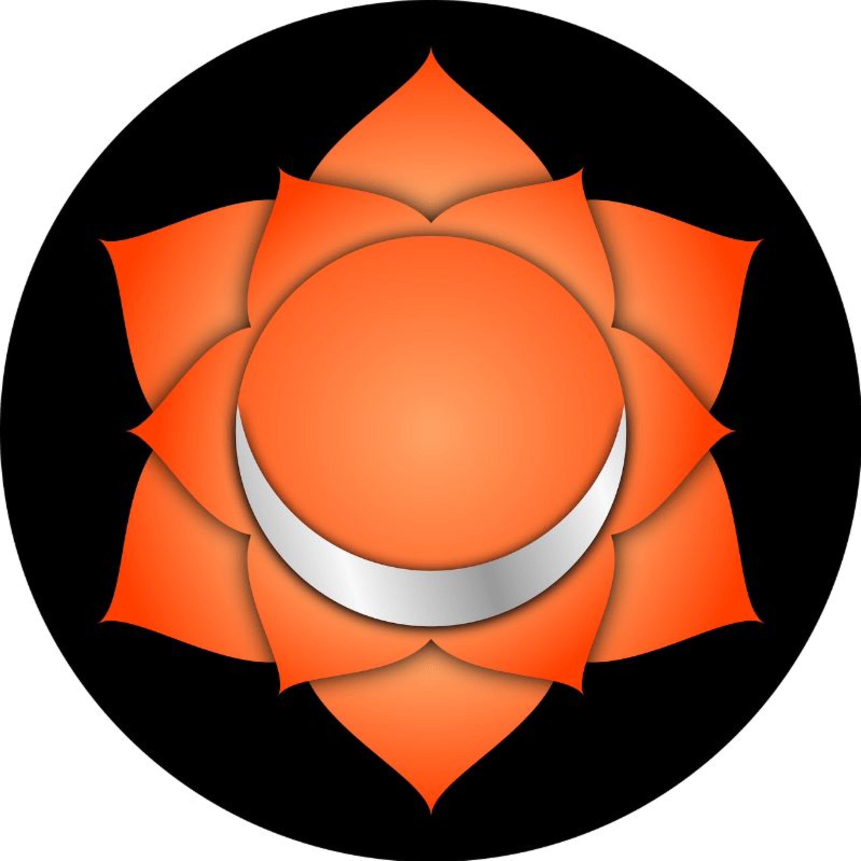 Alignement Vibratoire