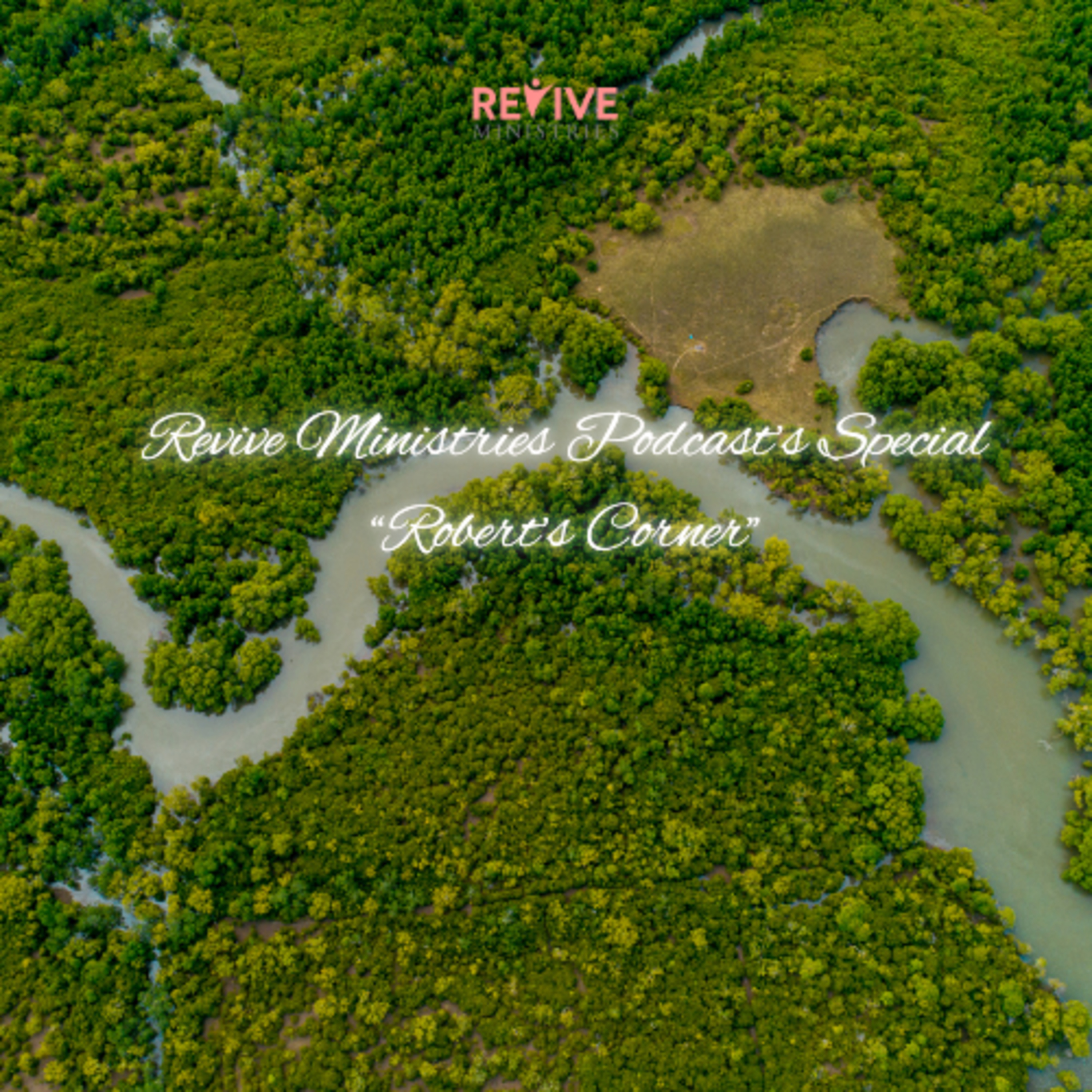Revive Ministries