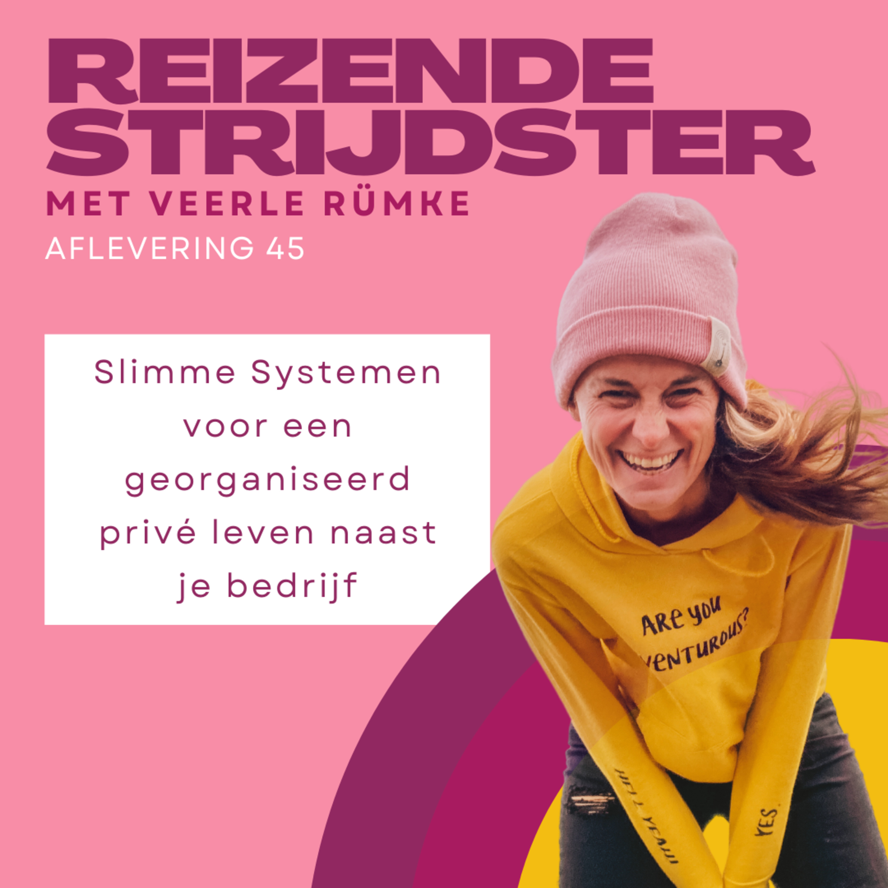 45. Slimme Systemen voor een georganiseerd privé leven naast je bedrijf episode artwork
