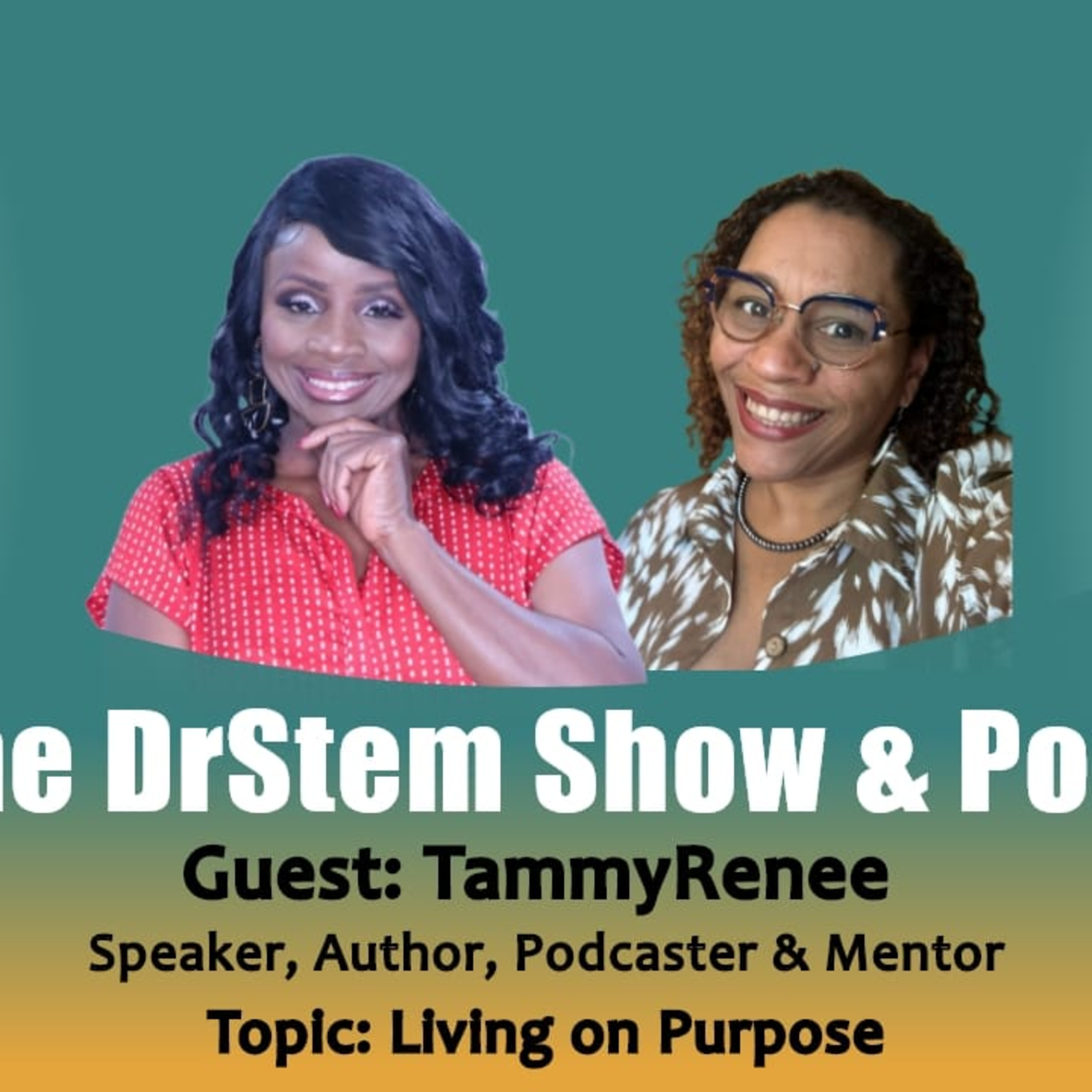 The DrStem Show & Podcast