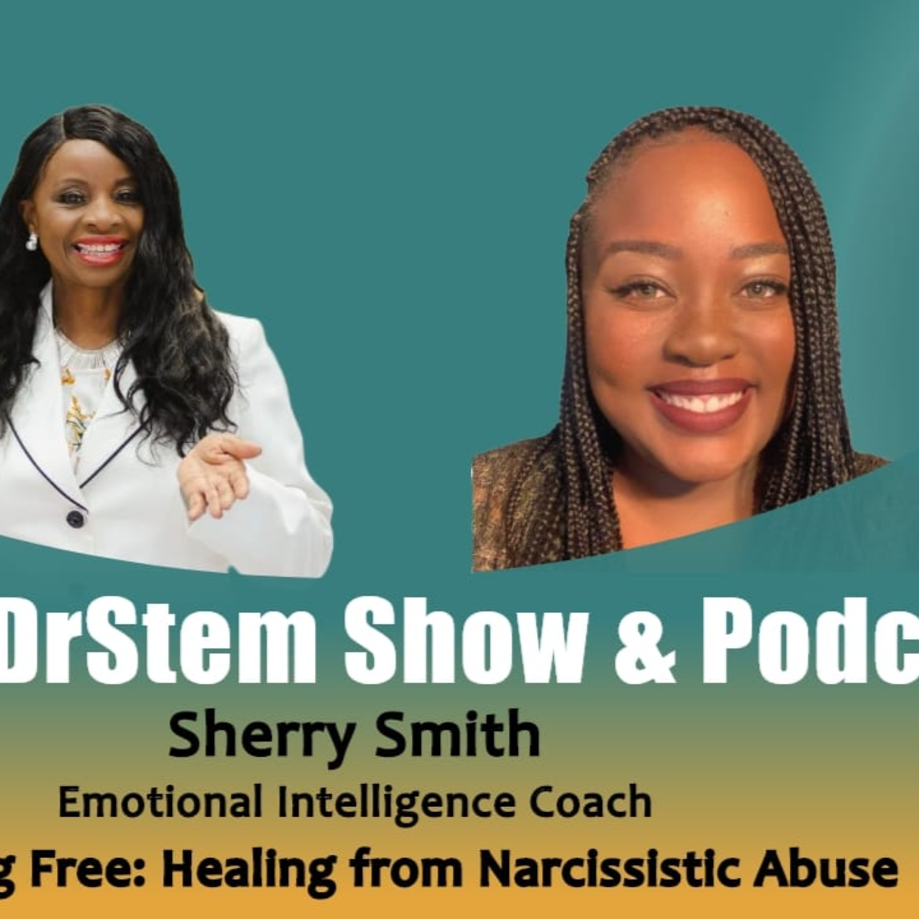 The DrStem Show & Podcast