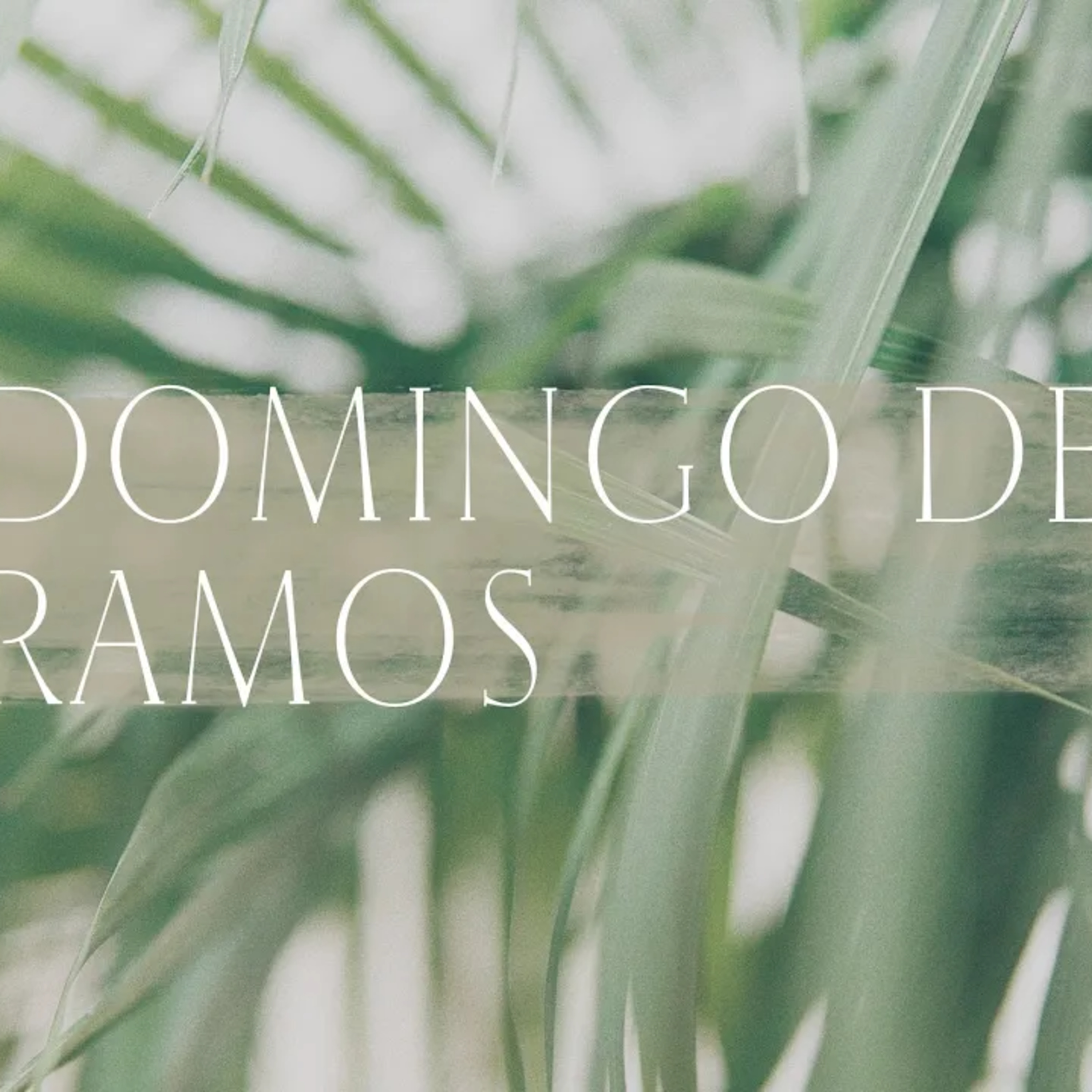 Domingo de Ramos episode artwork