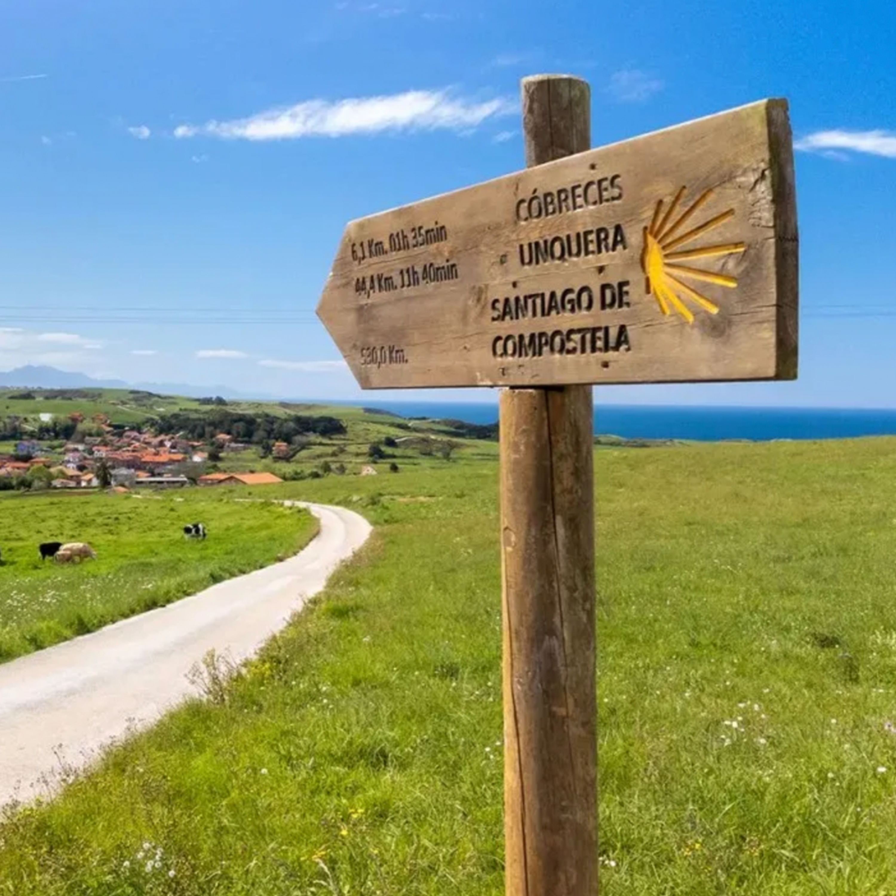 Minipod #237: Melhores livros e filmes sobre o caminho de Santiago de Compostela episode artwork