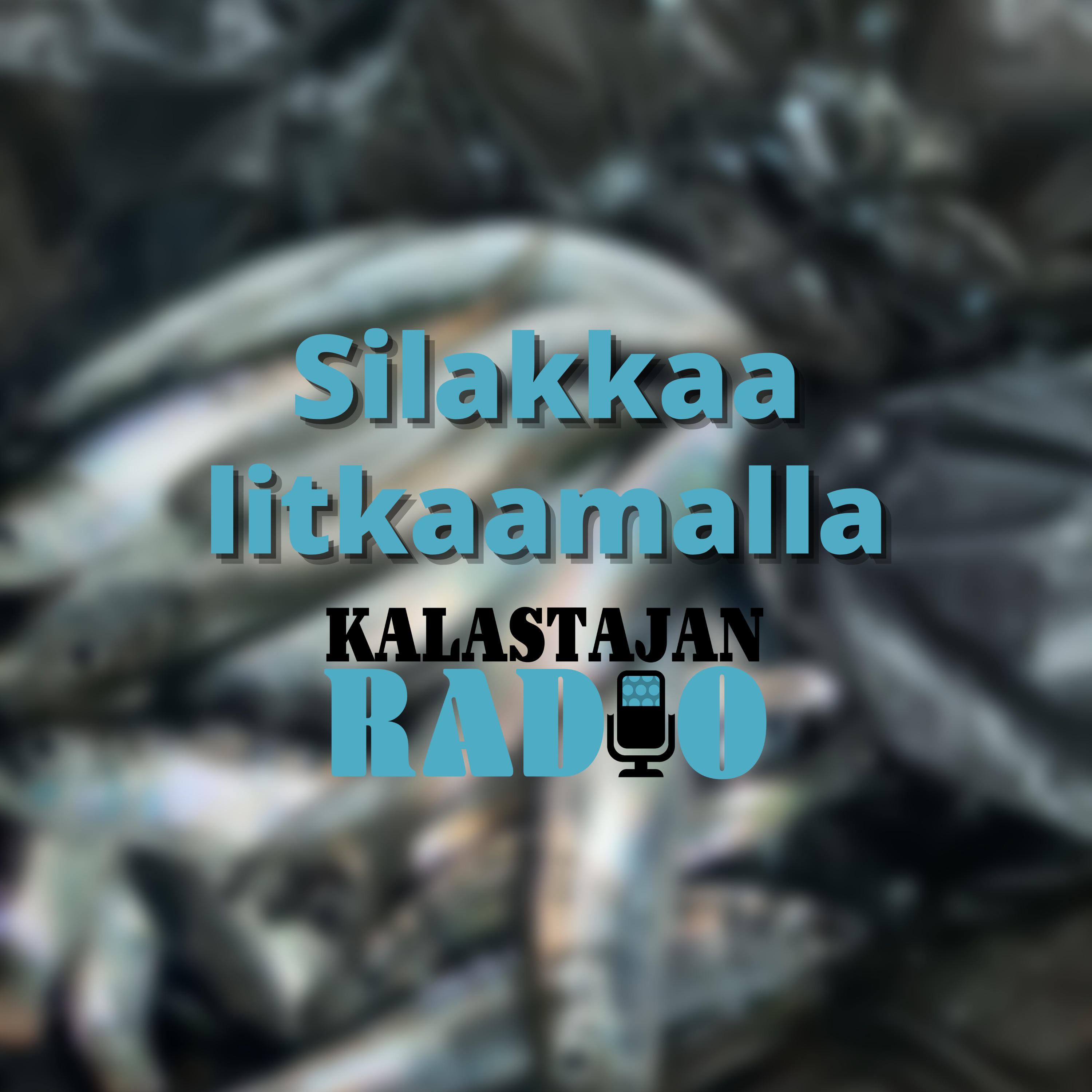 Silakkaa litkaamalla episode artwork