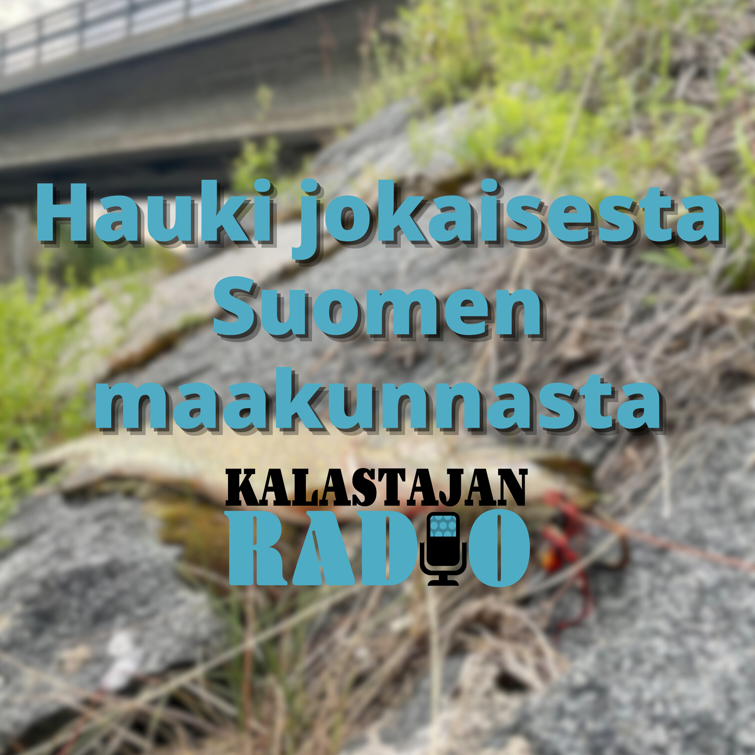 Hauki jokaisesta Suomen maakunnasta episode artwork