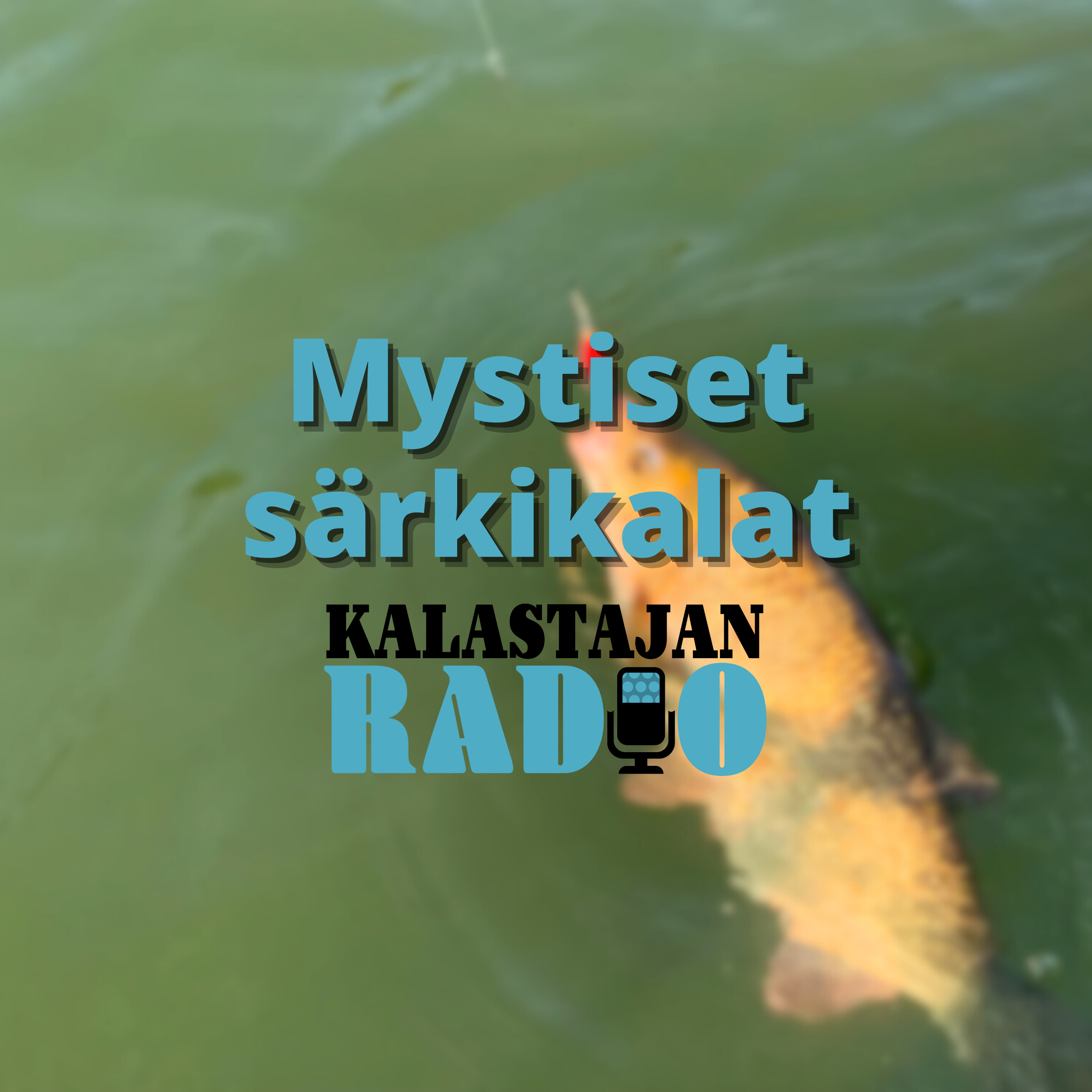 Mystiset särkikalat episode artwork
