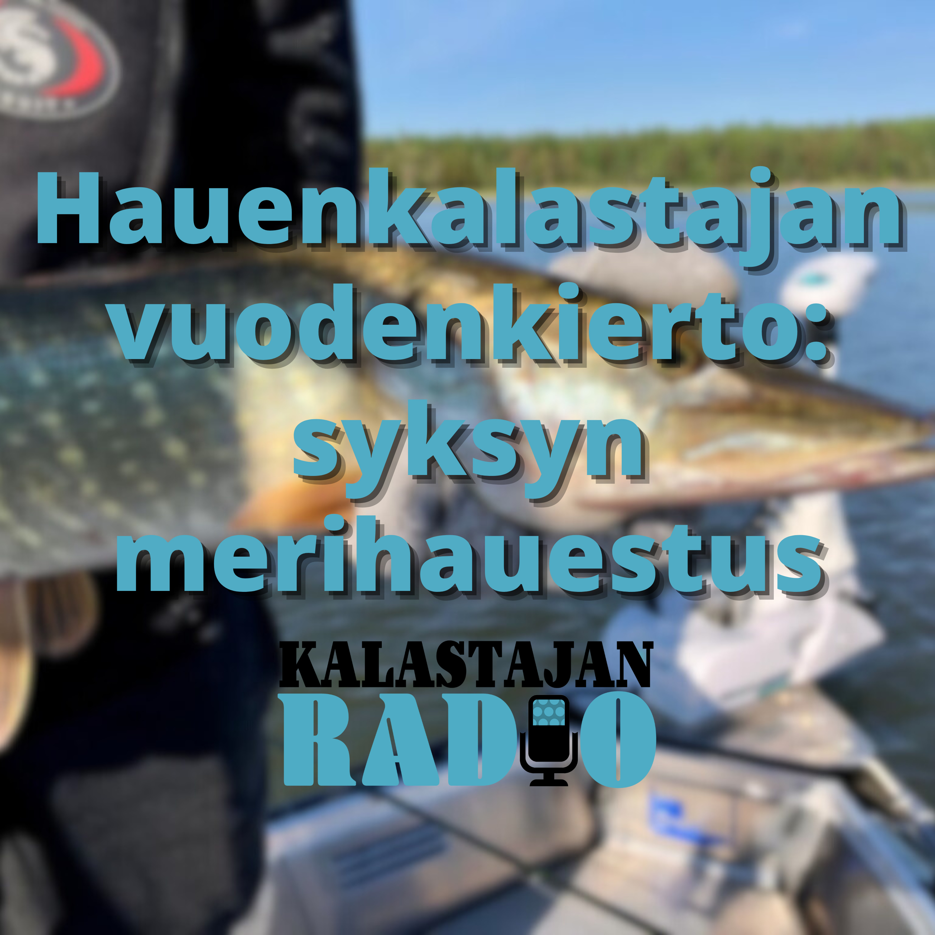 Hauenkalastajan vuodenkierto: syksyn merihauestus episode artwork