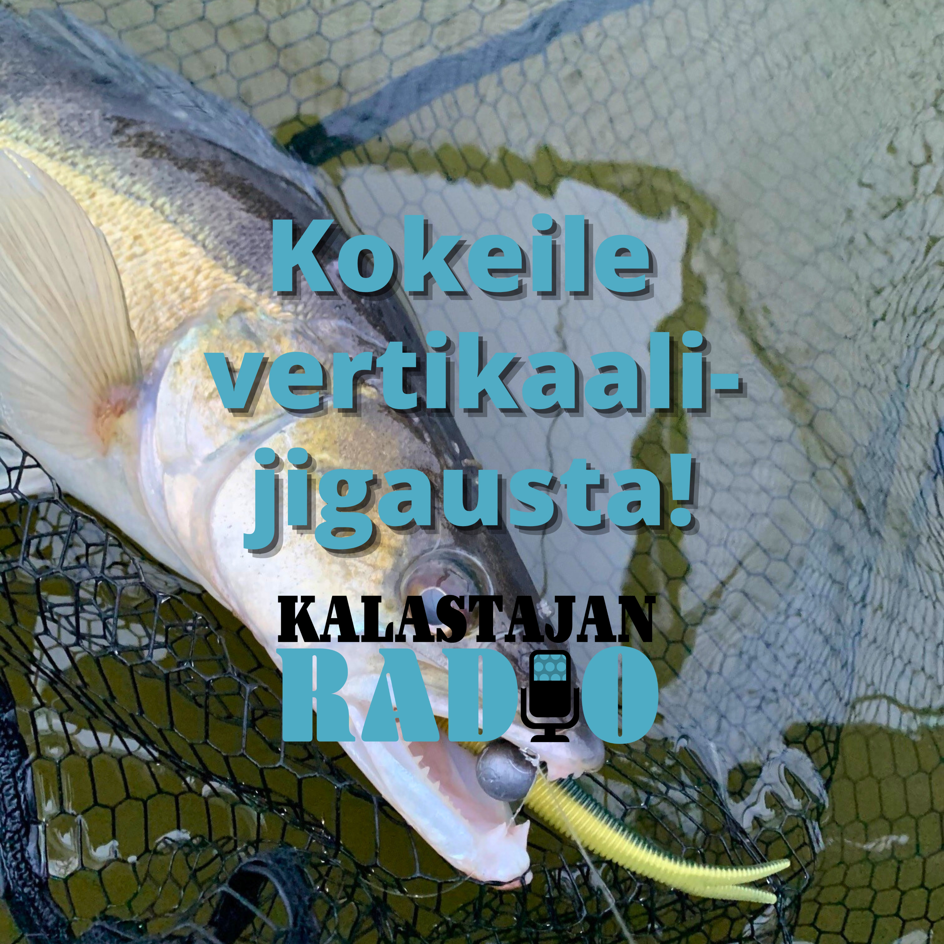 Kokeile vertikaalijigausta! episode artwork