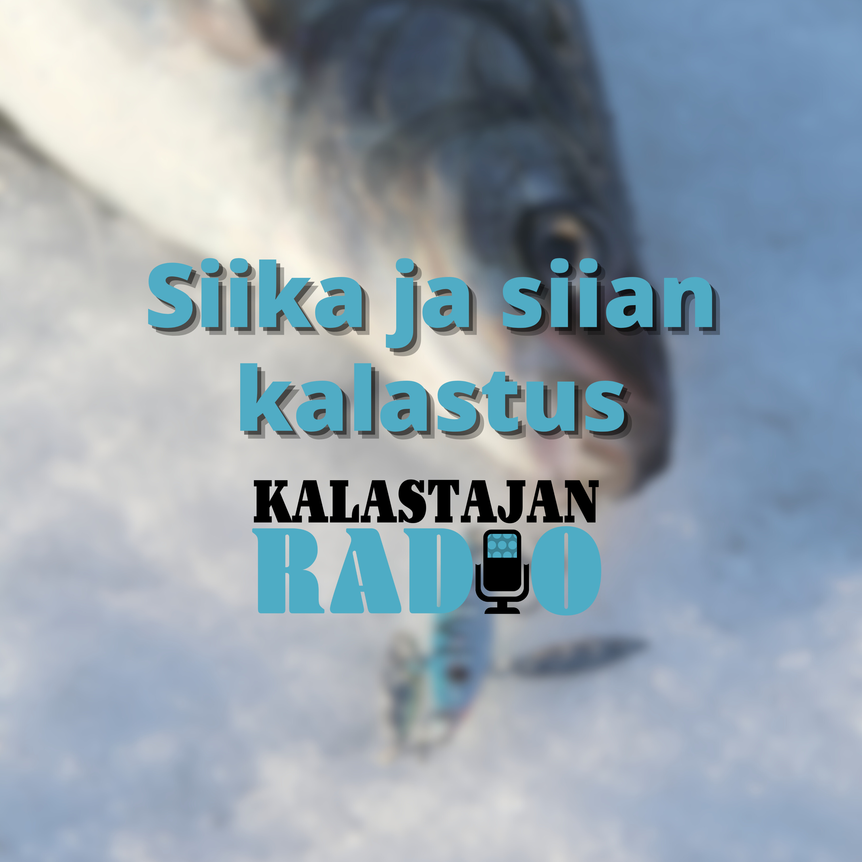 Siika ja siian kalastus episode artwork