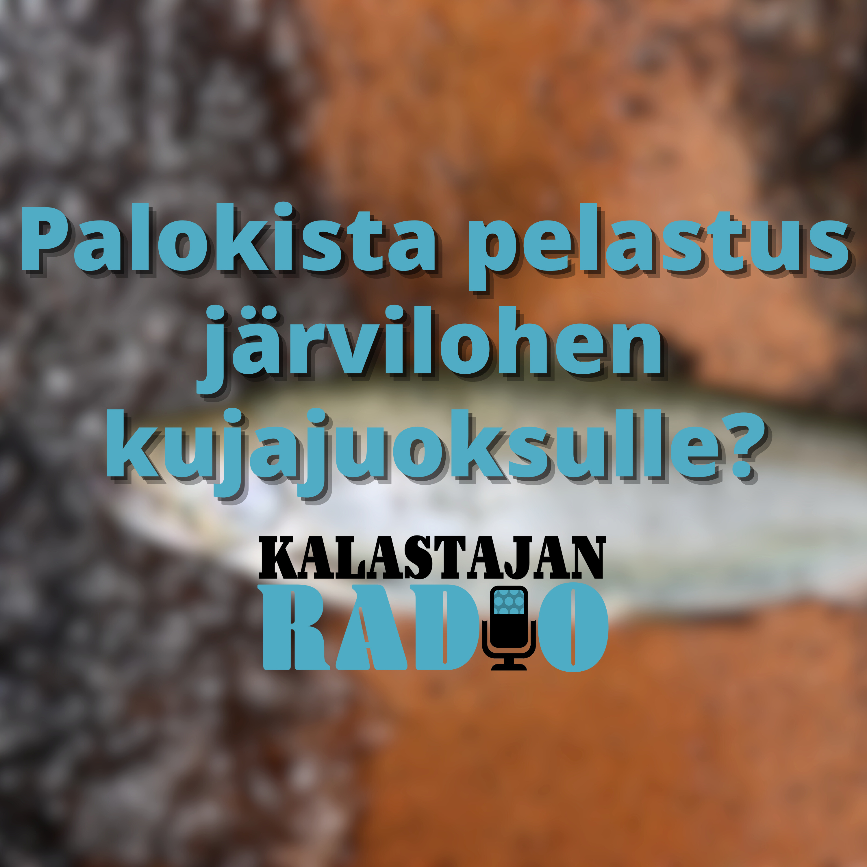 Palokista pelastus järvilohen kujajuoksulle? episode artwork