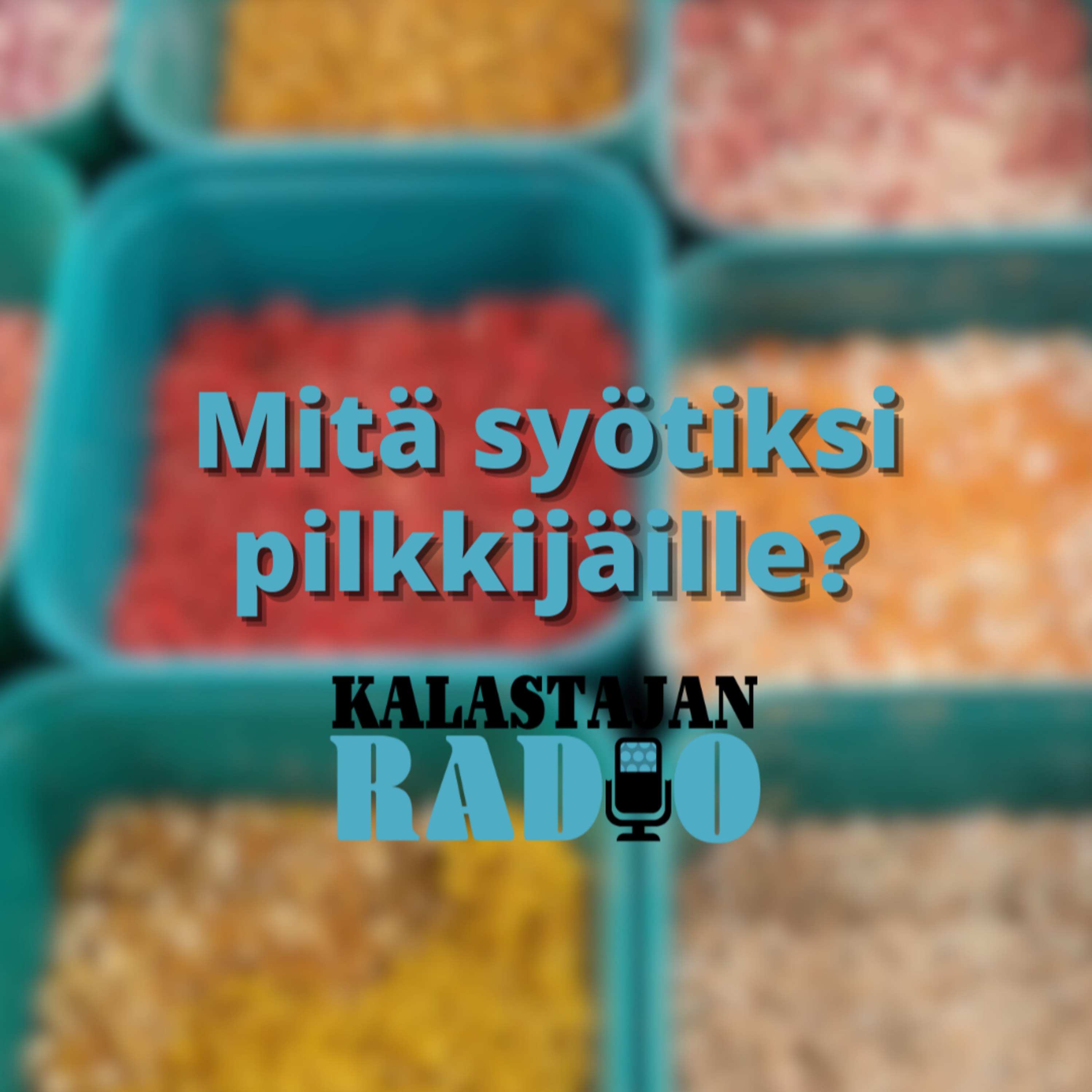 Mitä syötiksi pilkkijäille? episode artwork