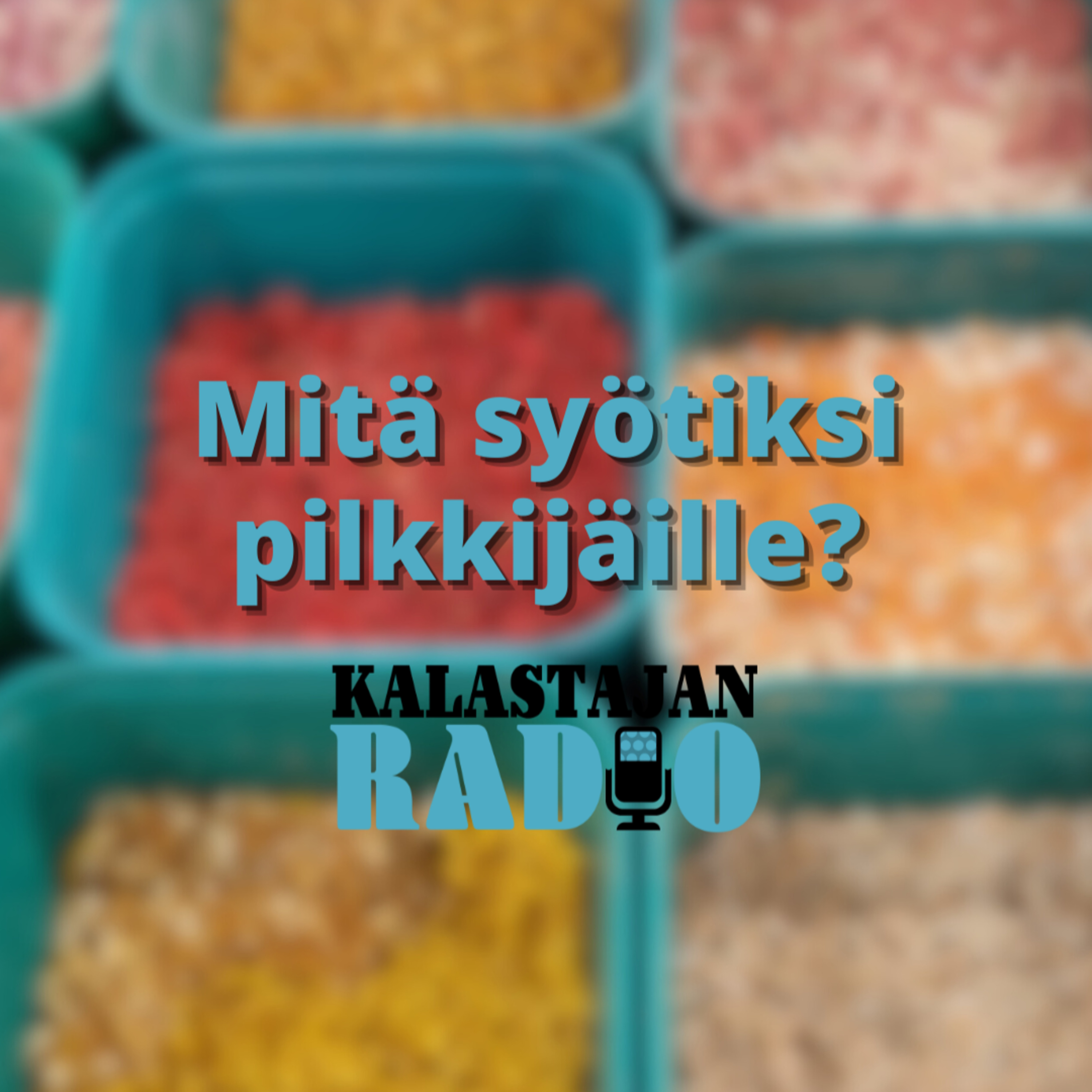Mitä syötiksi pilkkijäille? episode artwork