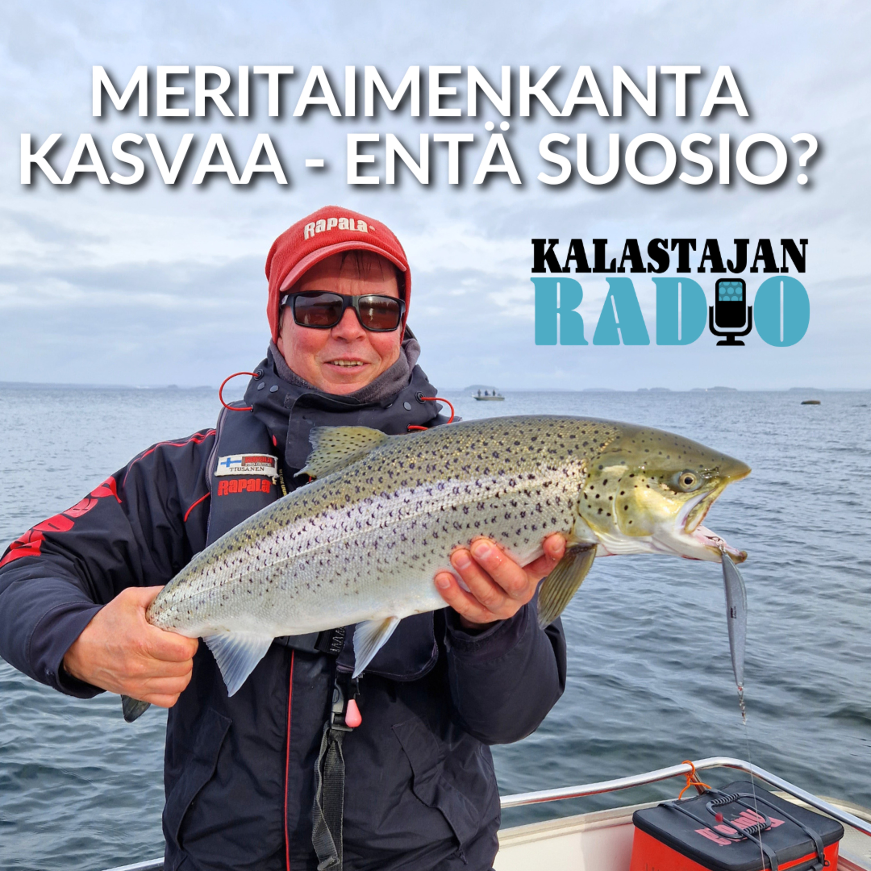 Meritaimenkanta kasvaa - entä suosio? episode artwork