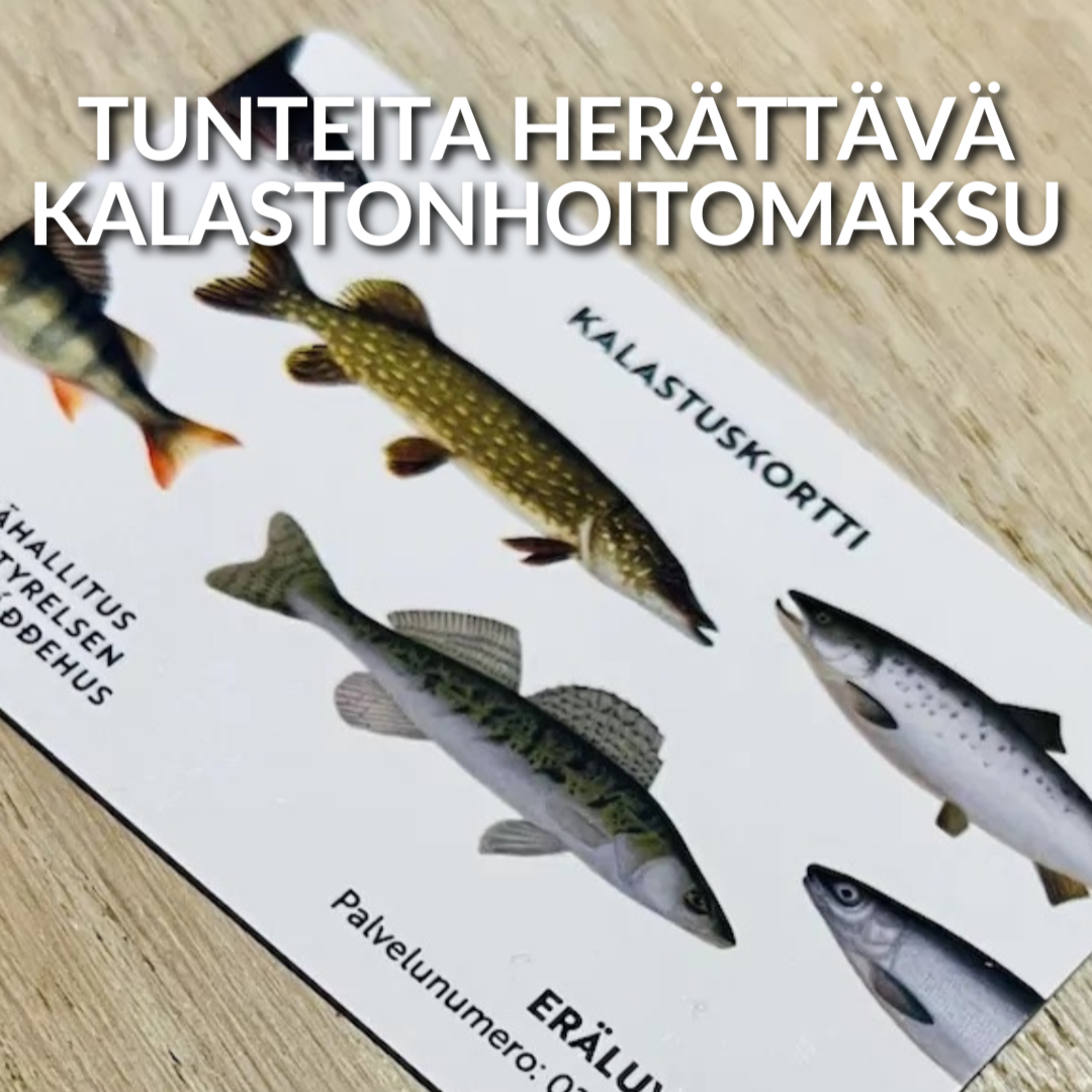 Tunteita herättävä kalastonhoitomaksu episode artwork