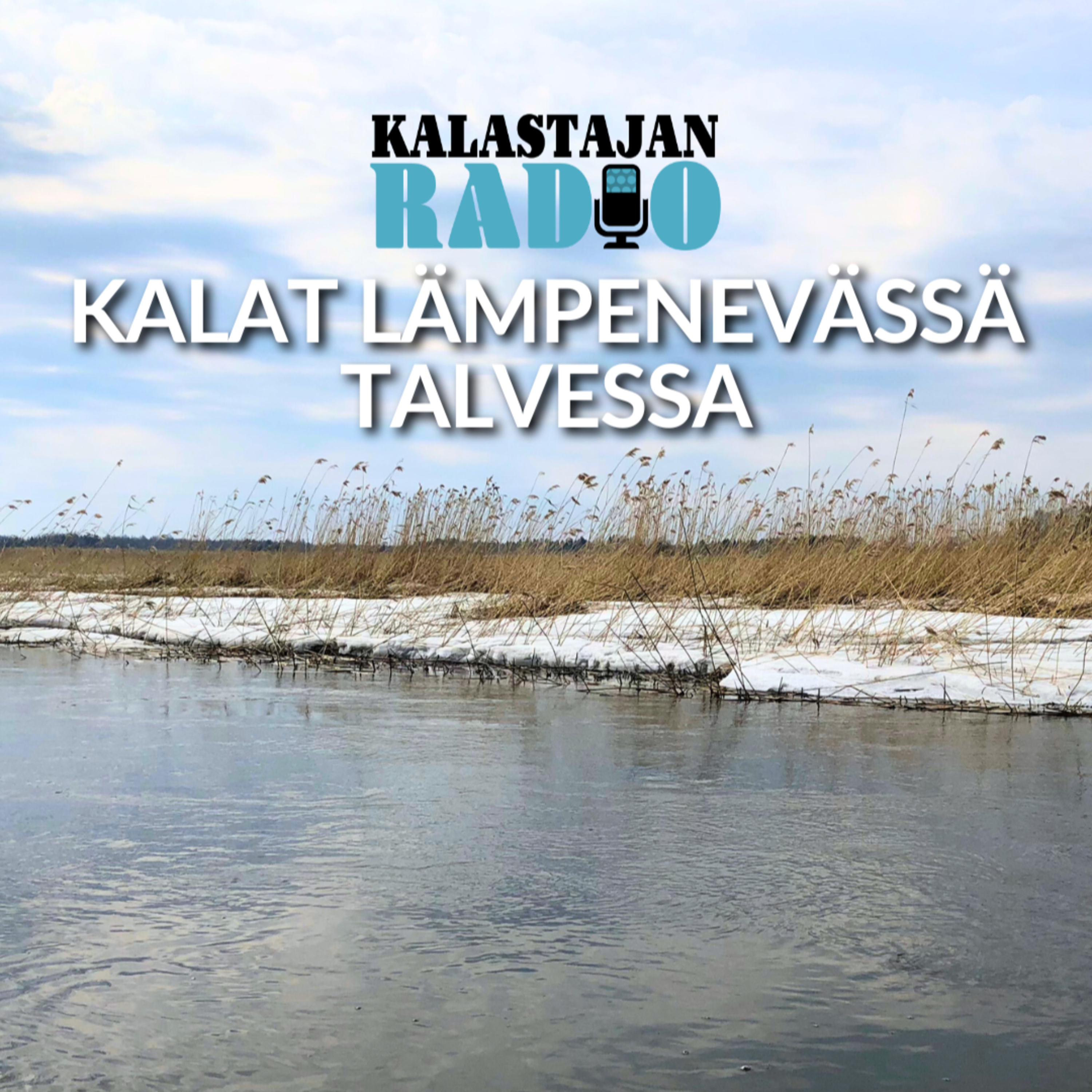Kalat lämpenevässä talvessa episode artwork