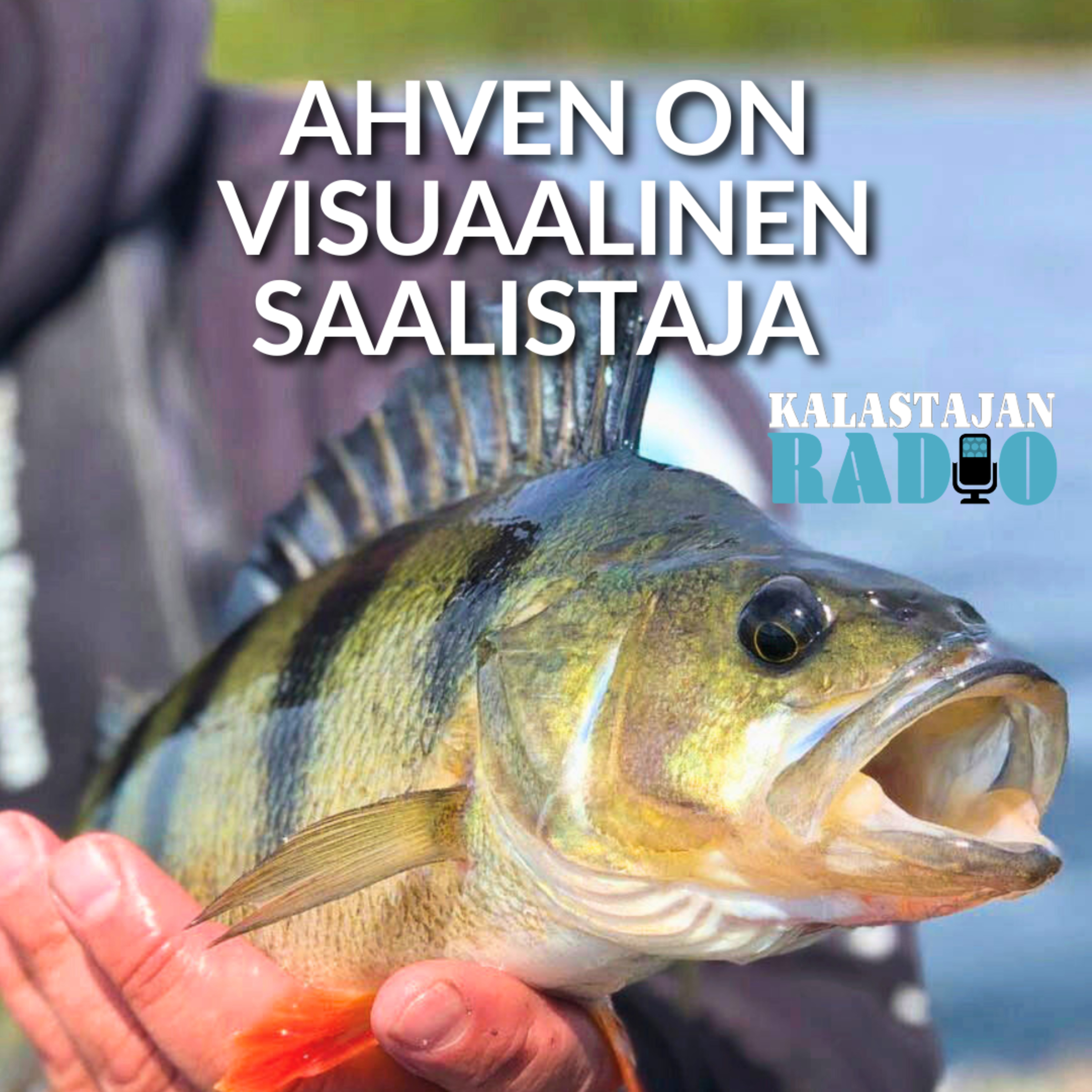 Ahven on visuaalinen saalistaja episode artwork