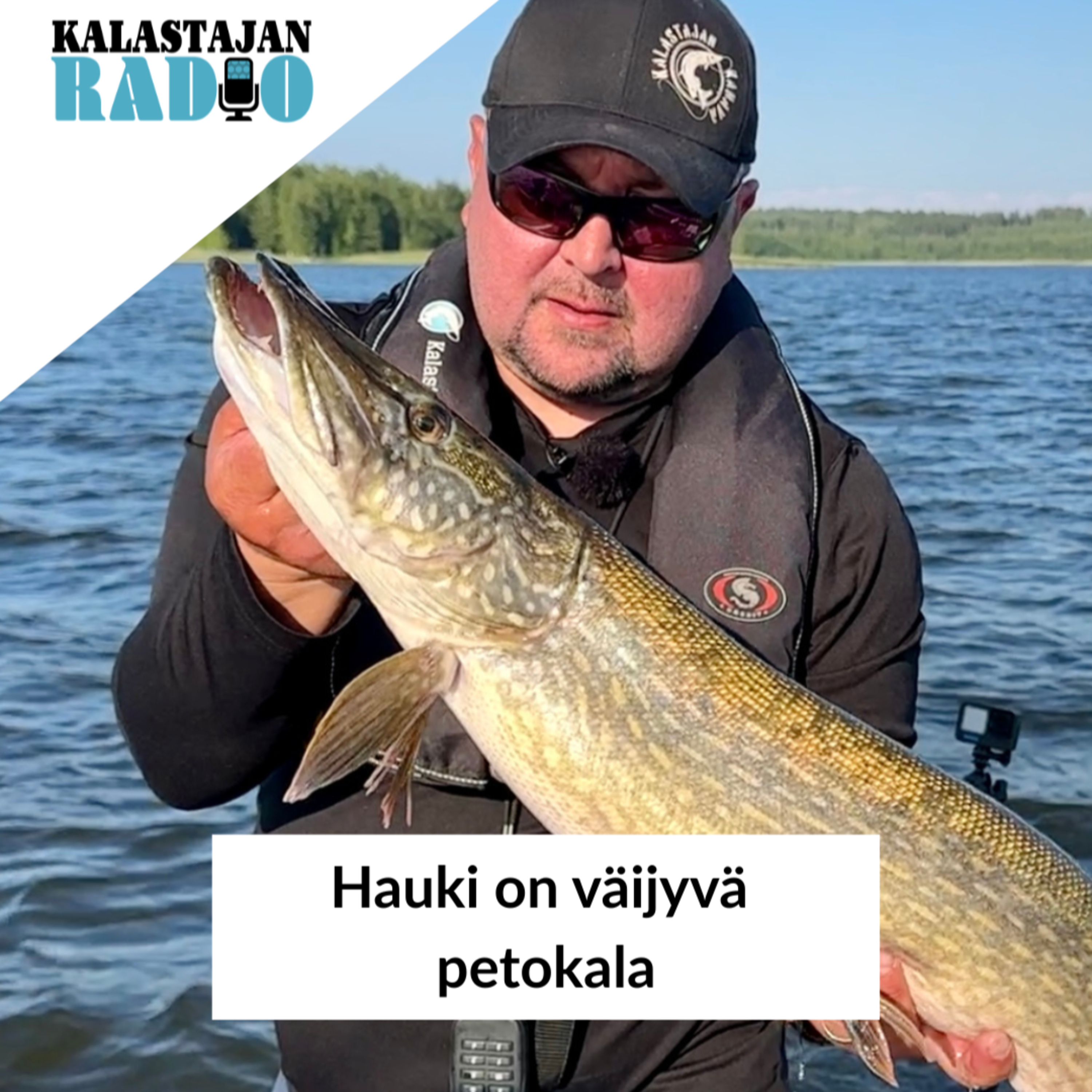 Hauki on väijyvä petokala episode artwork