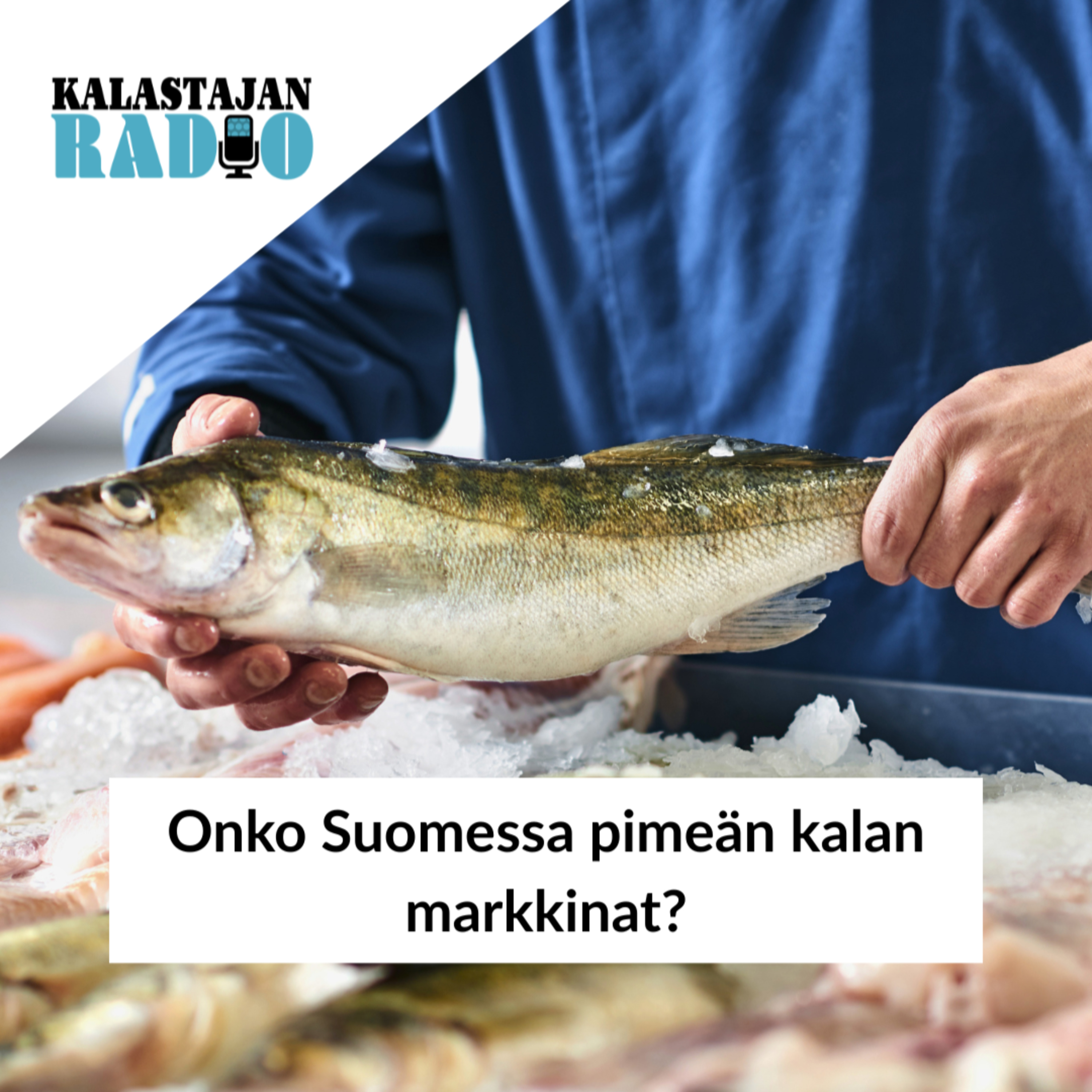 Onko Suomessa pimeän kalan markkinat? episode artwork