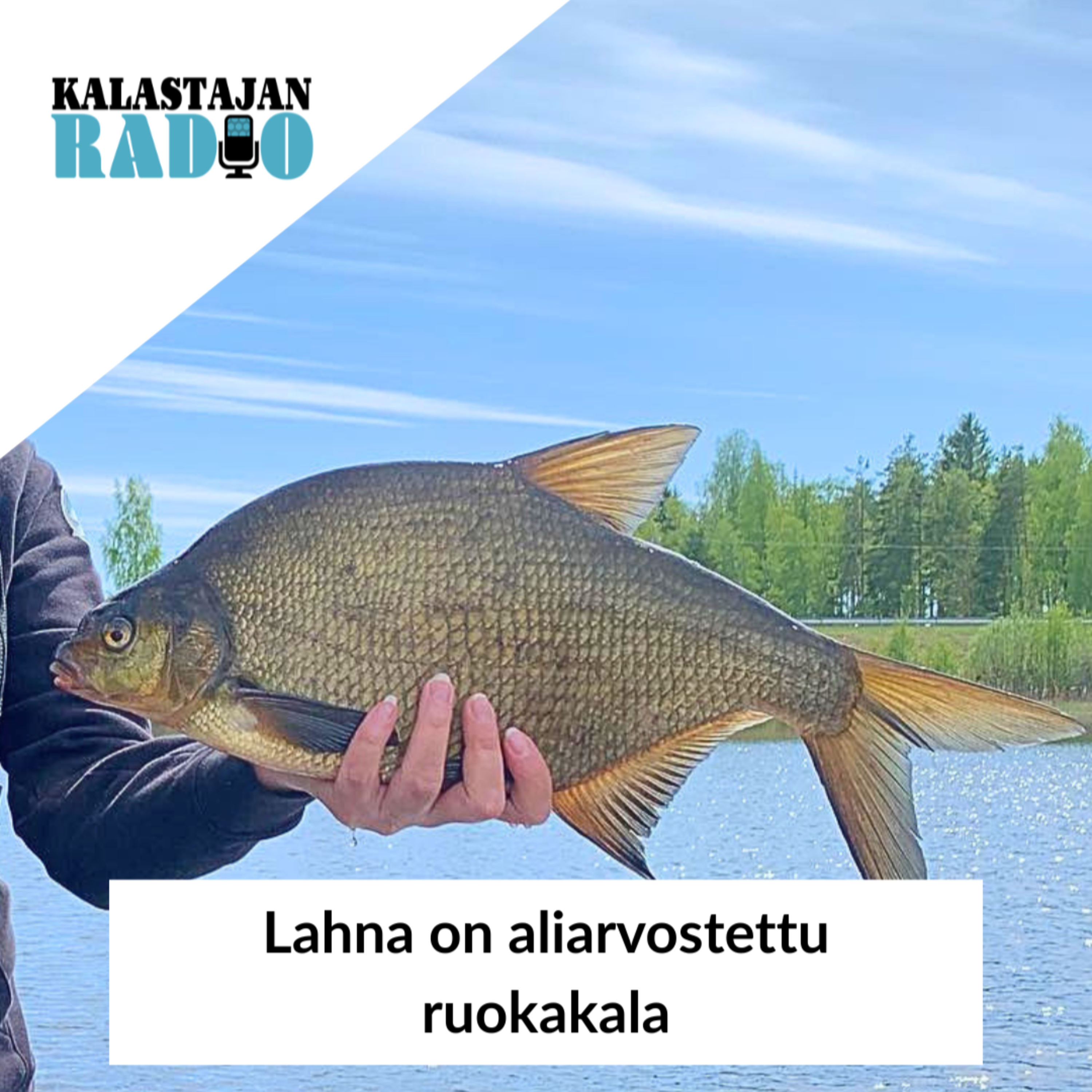 Lahna on aliarvostettu ruokakala episode artwork