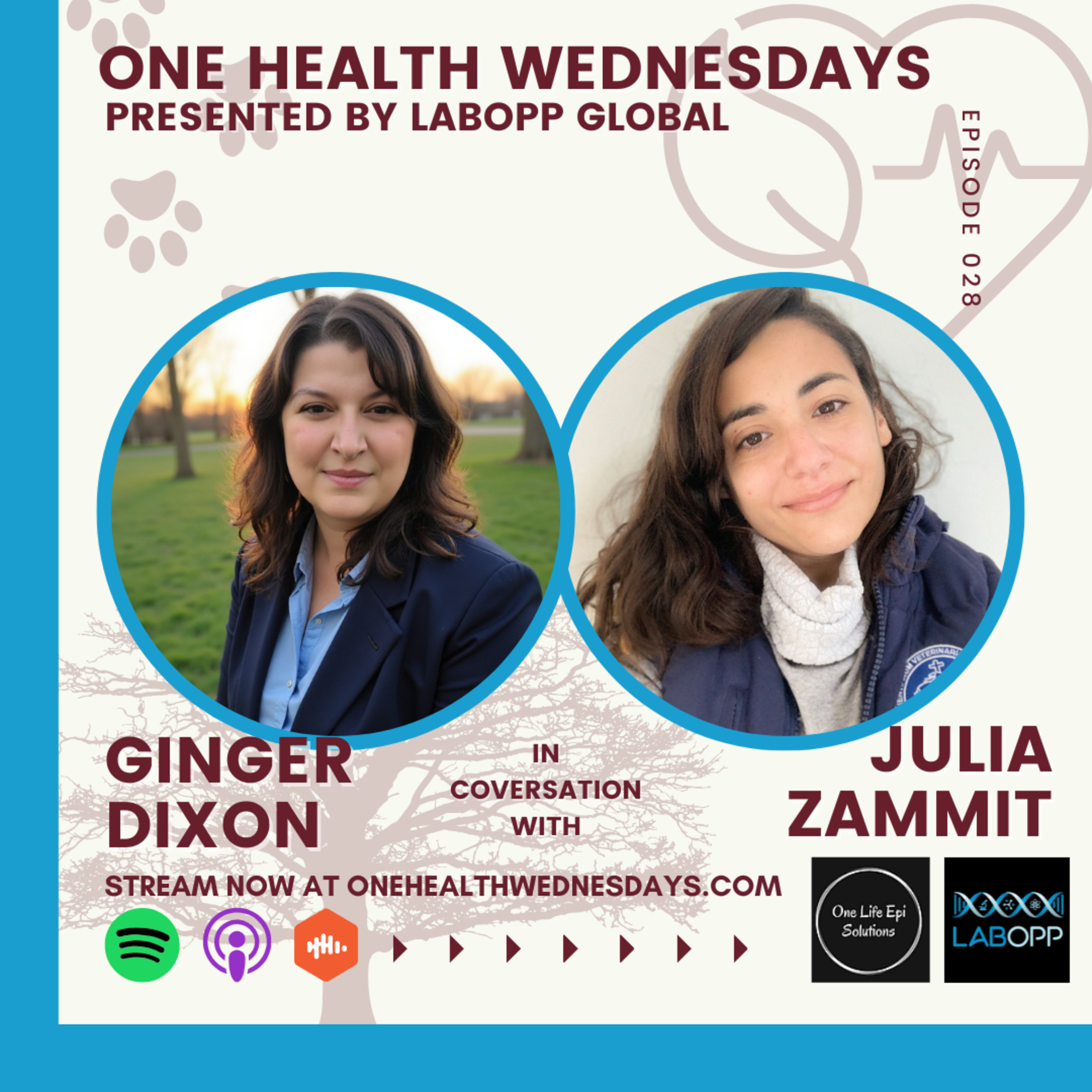 Episode 28: Building Local Solutions for One Health Surveillance