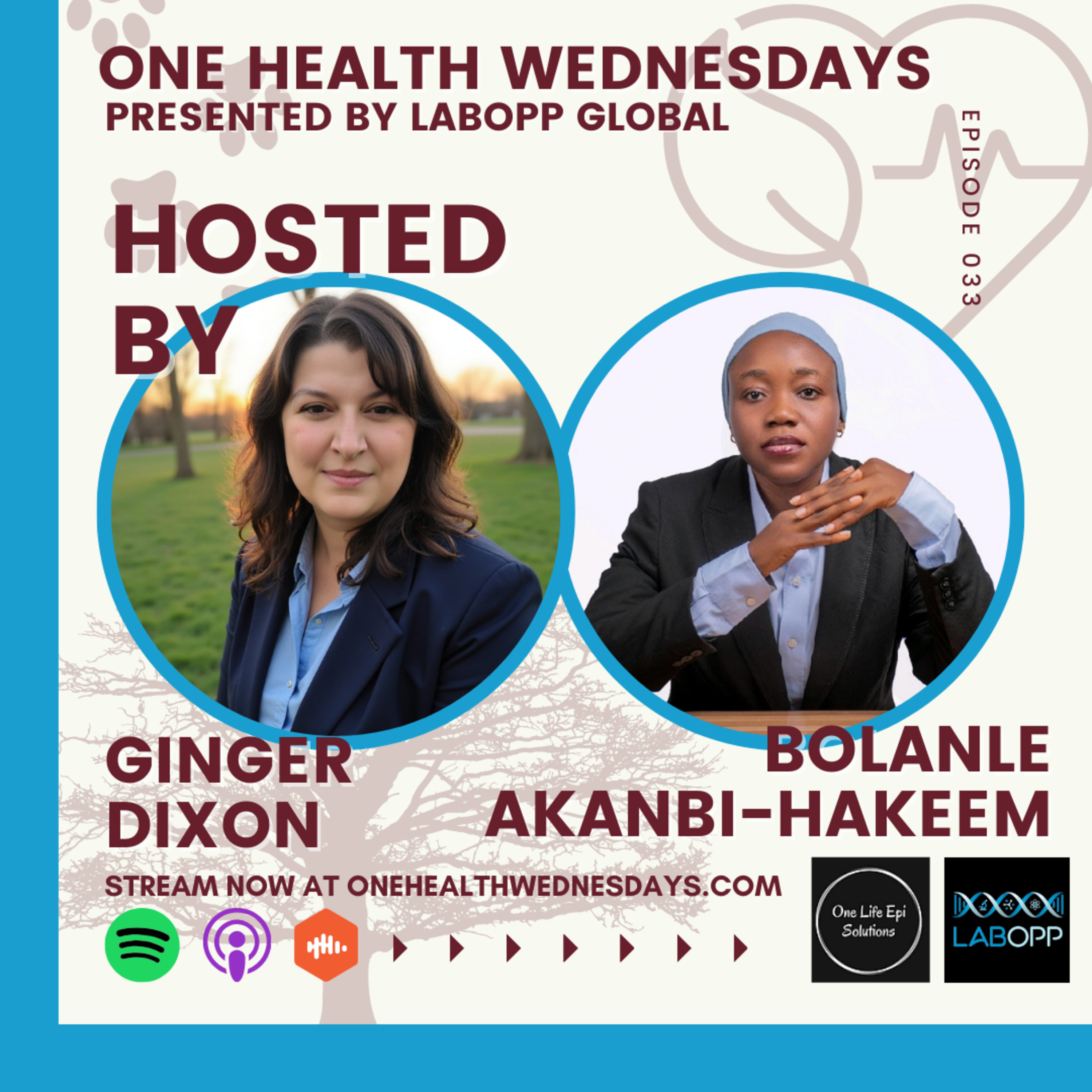 Episode 33: Building Bridges in One Health: Insights from Bolanle (Hauwa) Akanbi-Hakeem