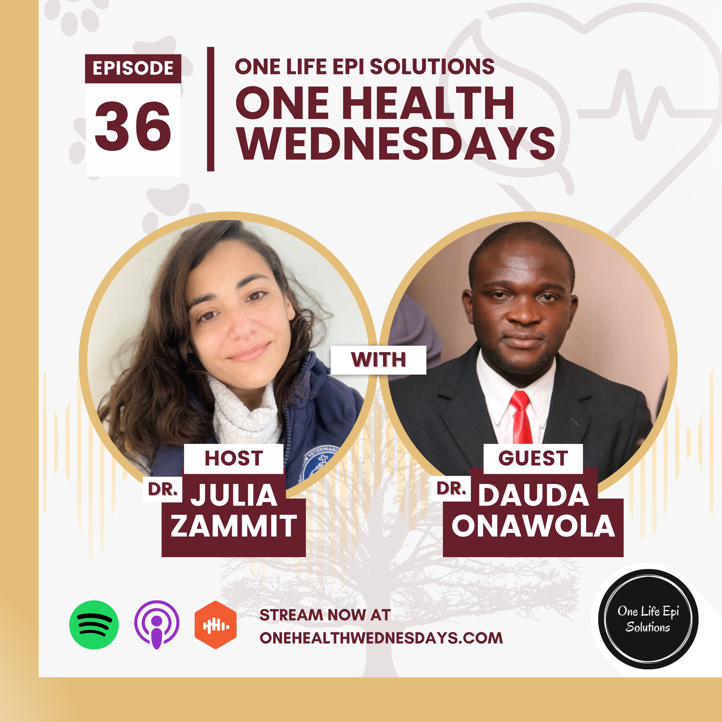 Episode 36: Zoonoses, Youth Power, and One Health in Action with Dr. Dauda Onawola