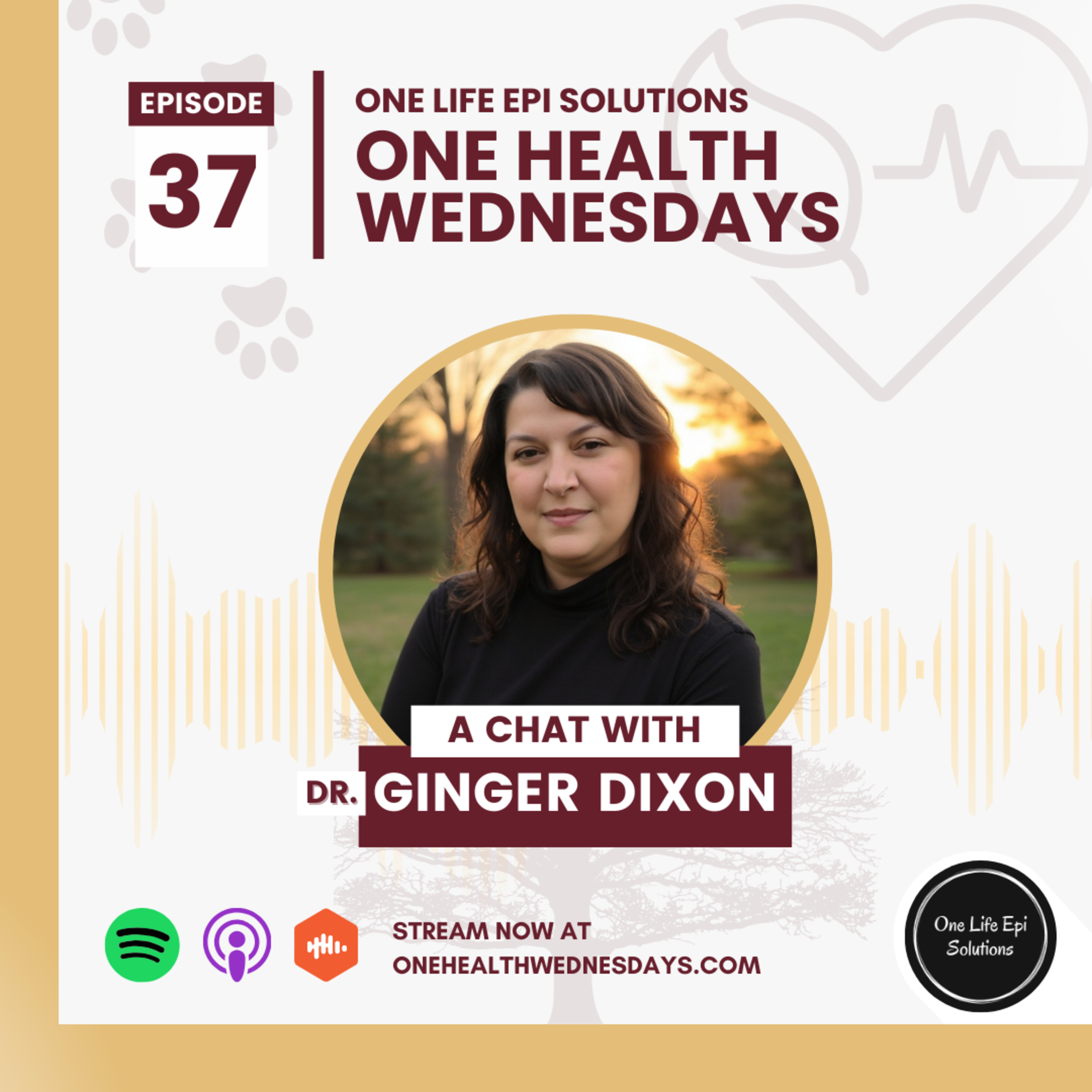 Episode 37: Foot and Mouth Disease on the Global Radar: A One Health Chat with Dr. Ginger Dixon on Risks and Responses