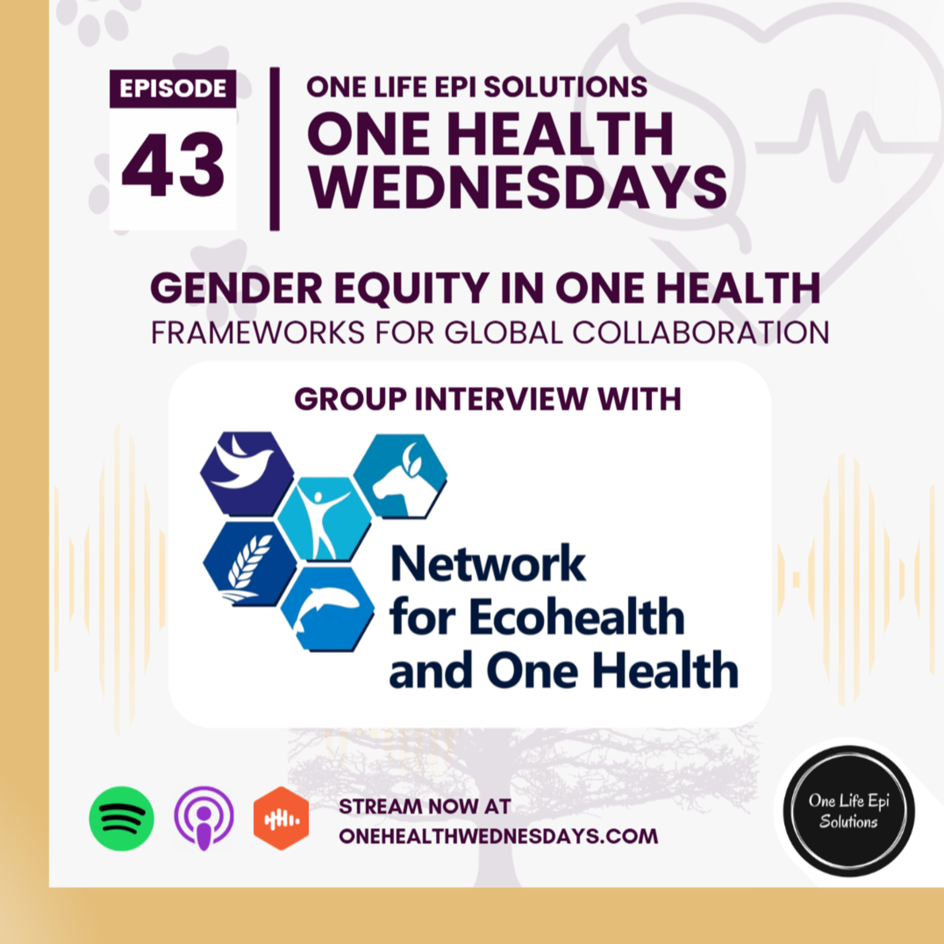 Gender Equity in One Health: Frameworks for Global Collaboration