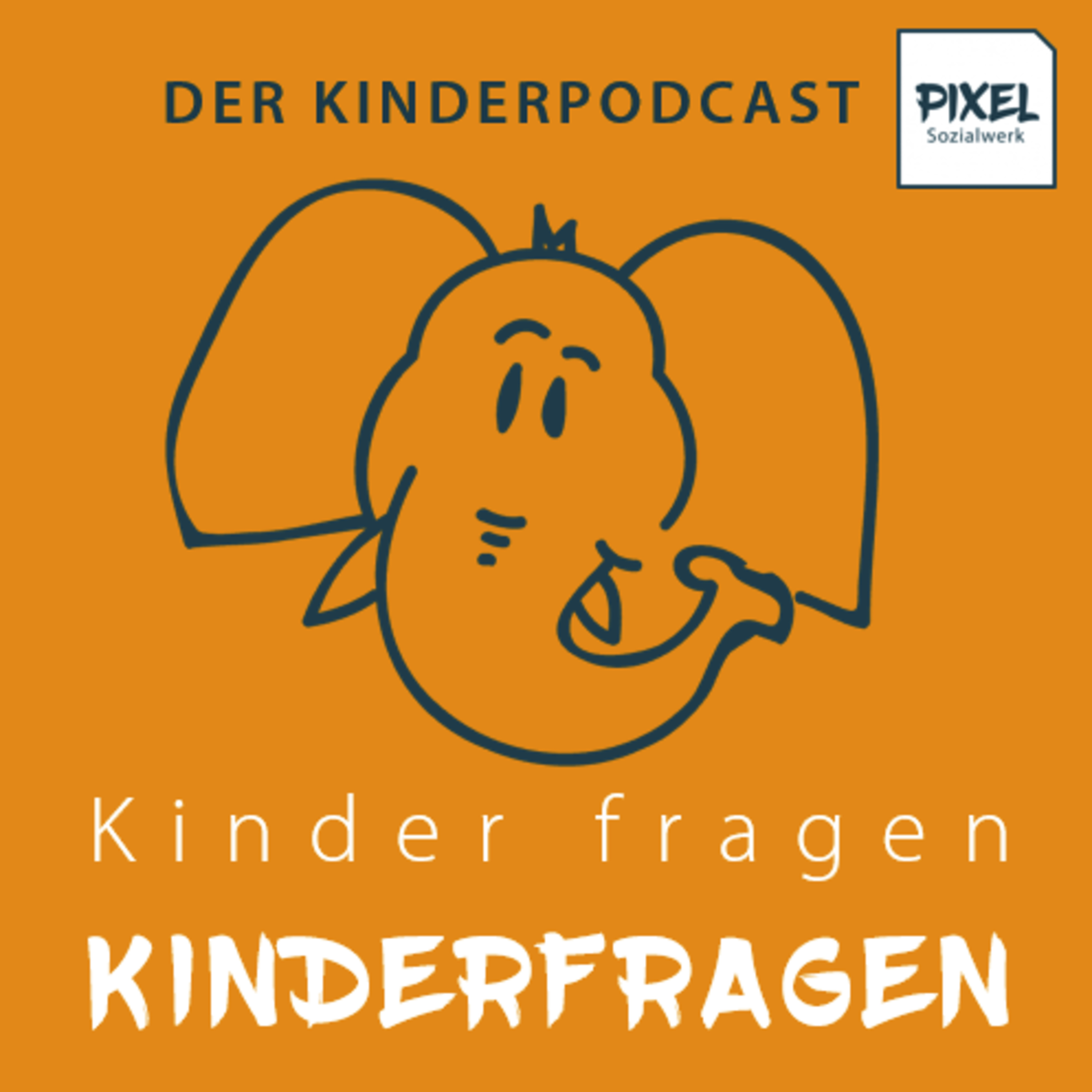 Kinder fragen Kinderfragen an einen Verlagsleiter