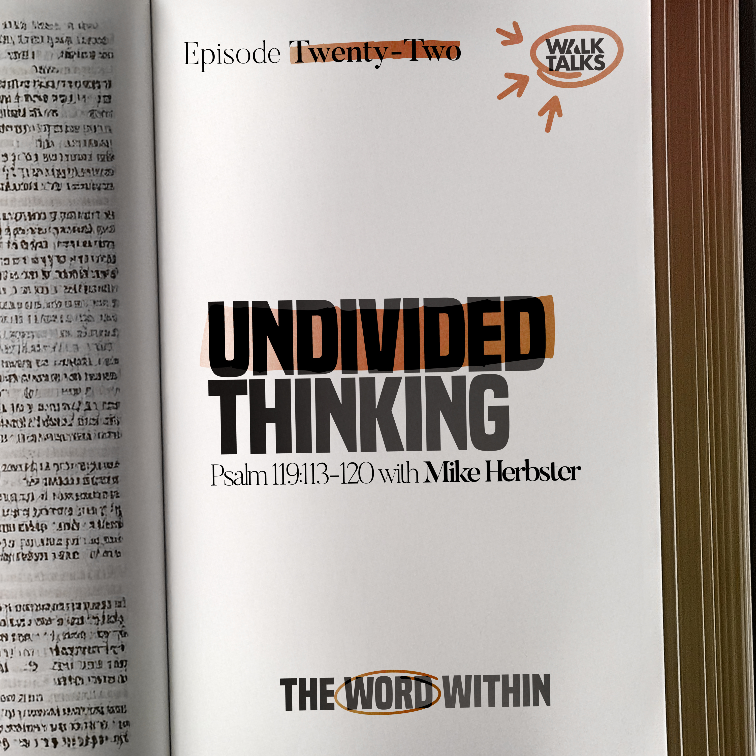 Undivided Thinking (Psalm 119:113-120) episode artwork