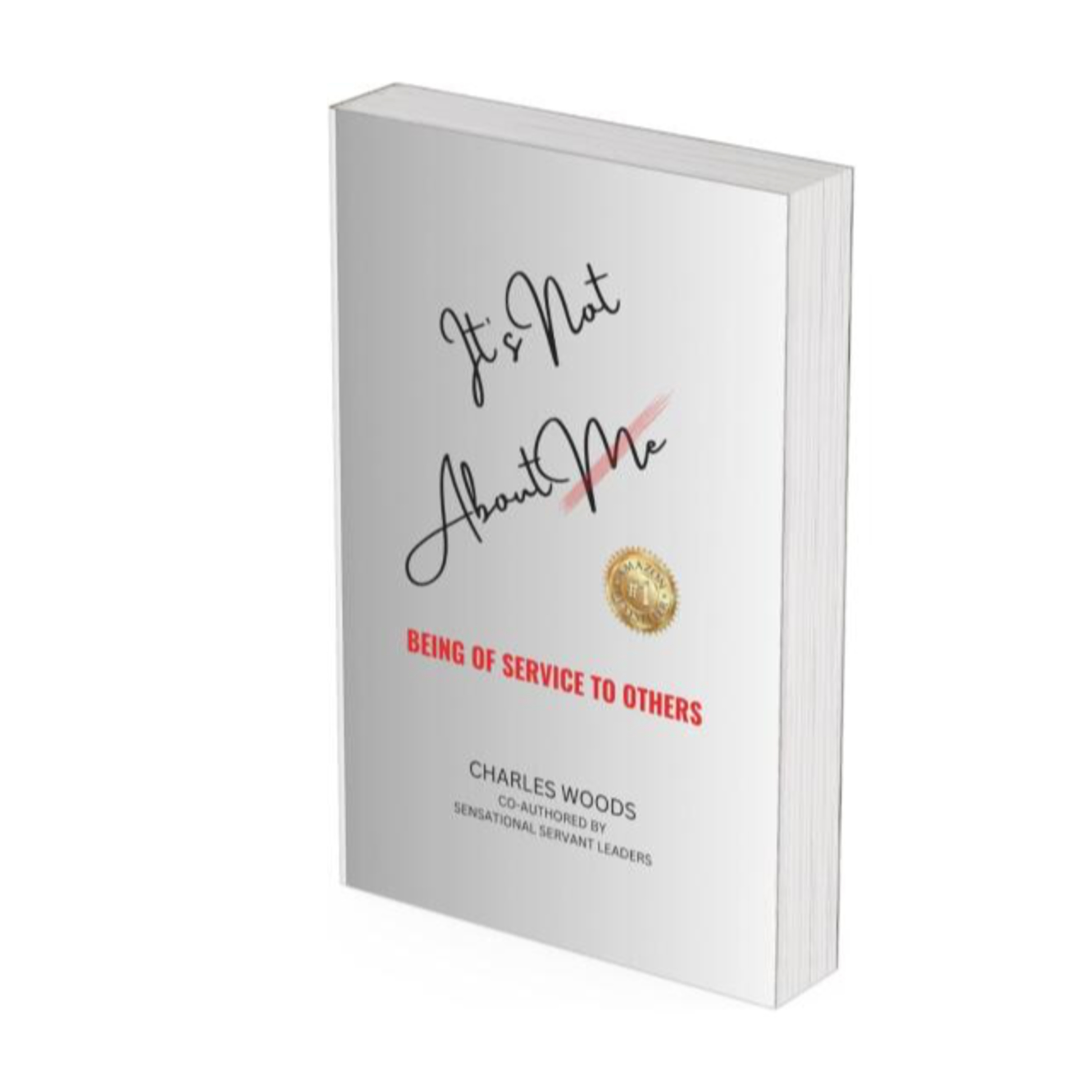 Chip Baker- The Success Chronicles