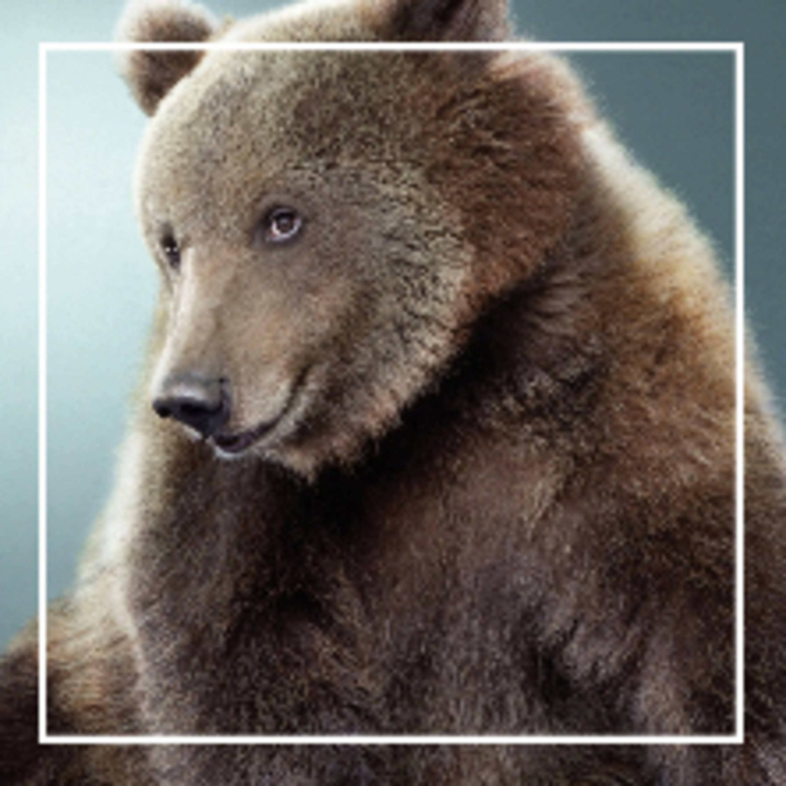 384. Медвежья услуга