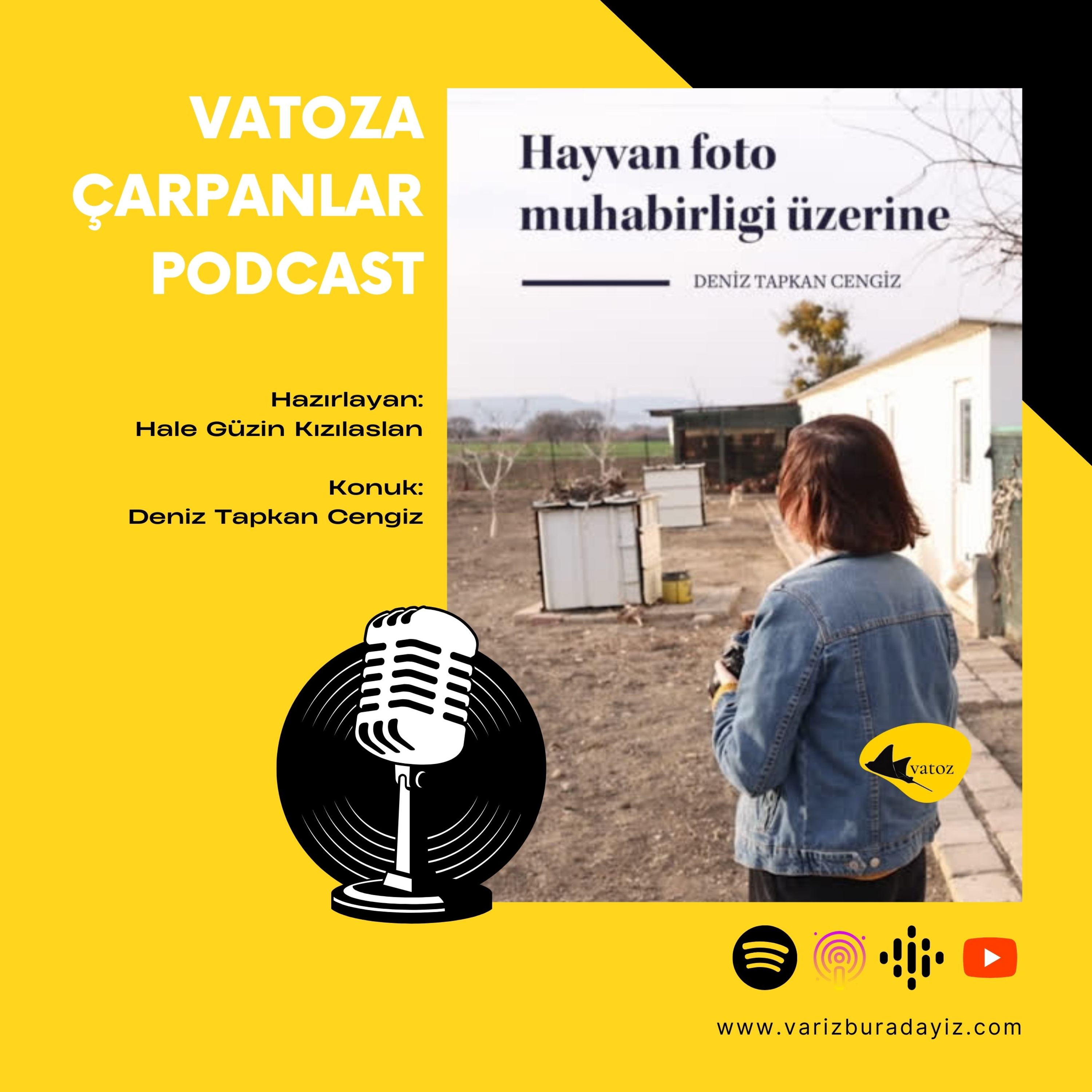 Vatoza Çarpanlar