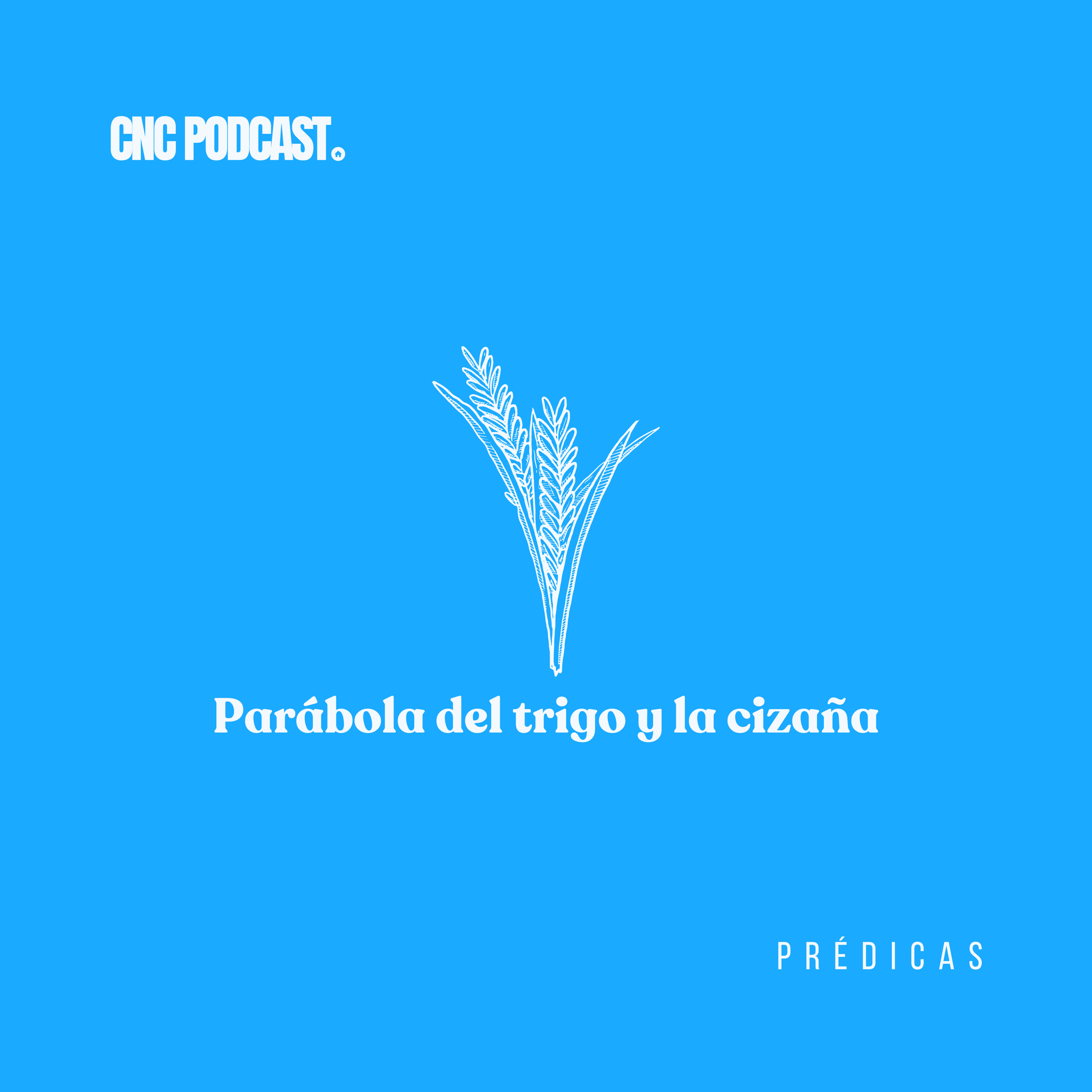 Parábola del trigo y la cizaña - Pr. Paul Hoyos