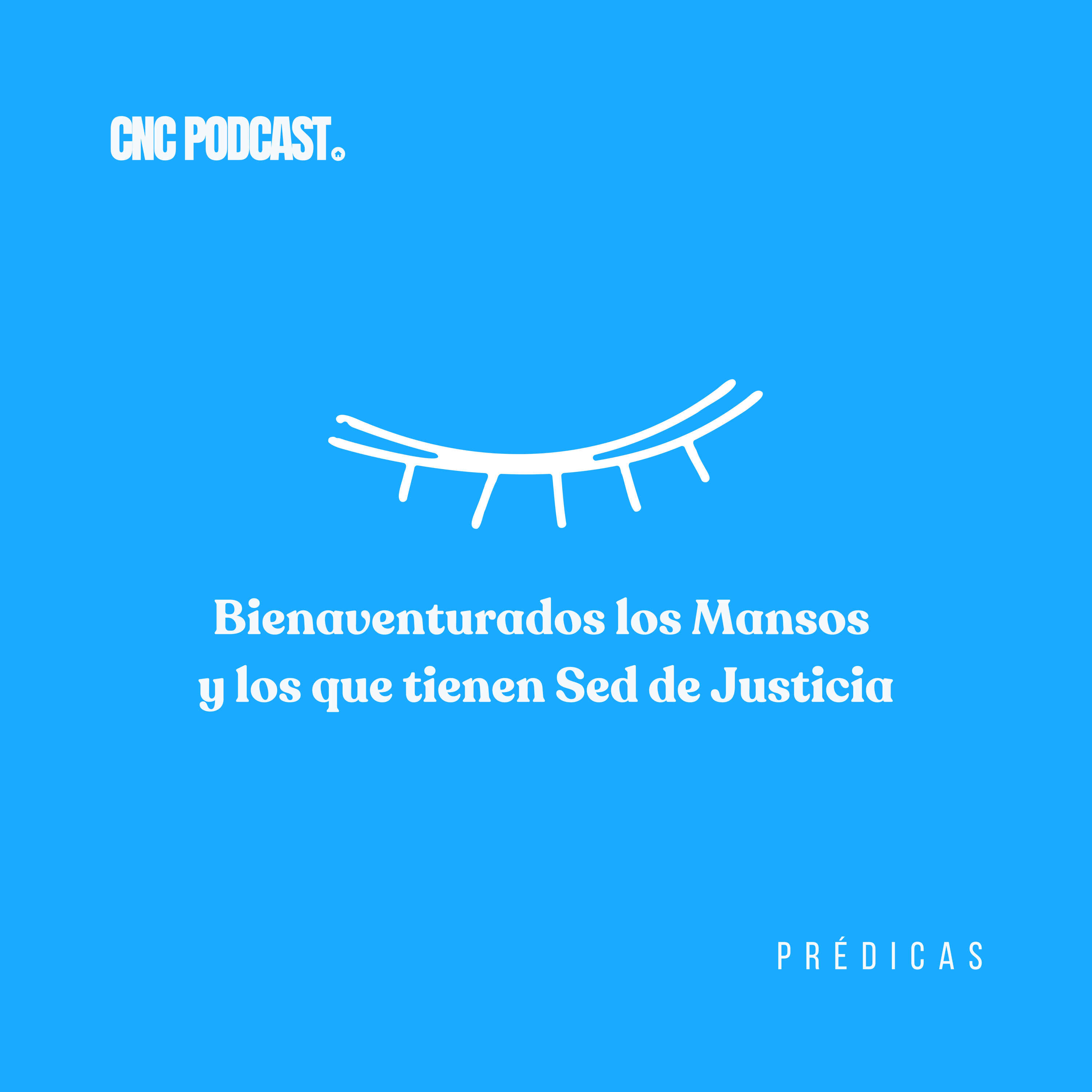 Bienaventurados los mansos y los que tienen sed de justicia - Rev. Antonio Rojas