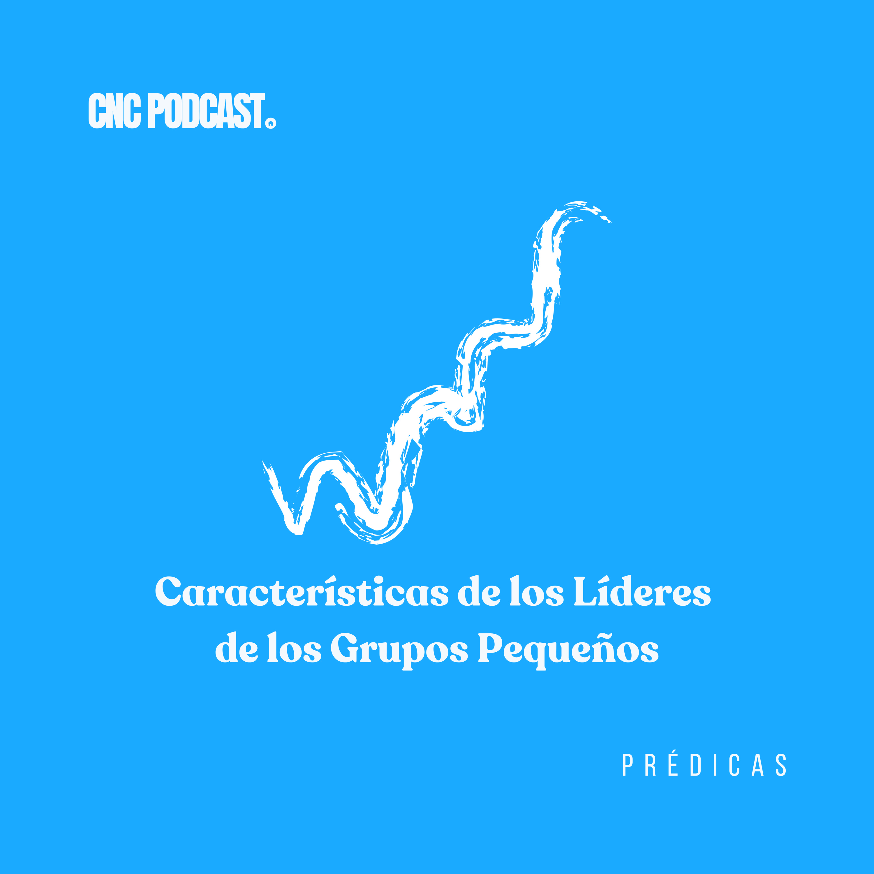 Características de los líderes de los Grupos Pequeños - Pr. Paul Hoyos