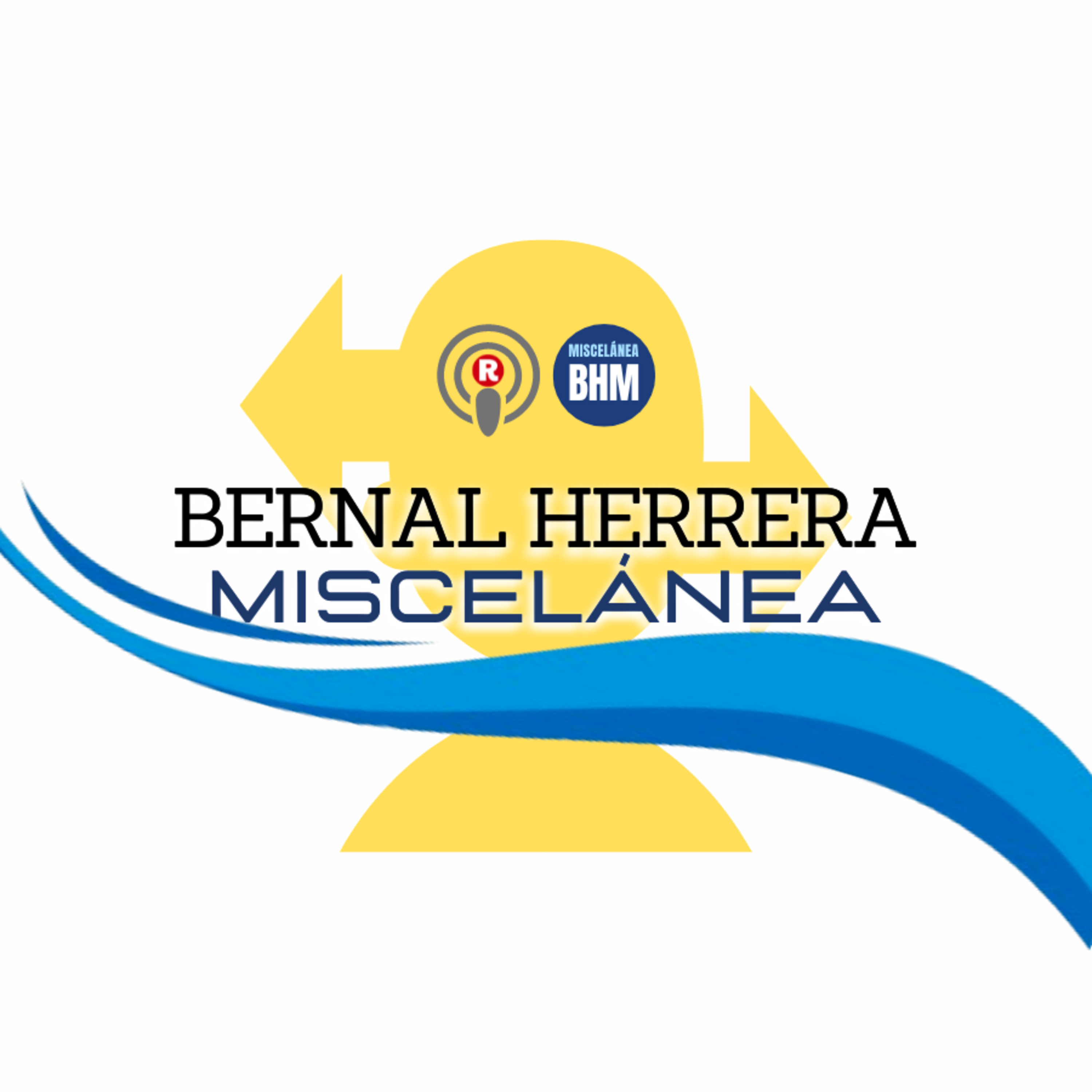 Bernal Herrera: «El actual malestar social - Una perspectiva histórica» en Miscelánea episode artwork