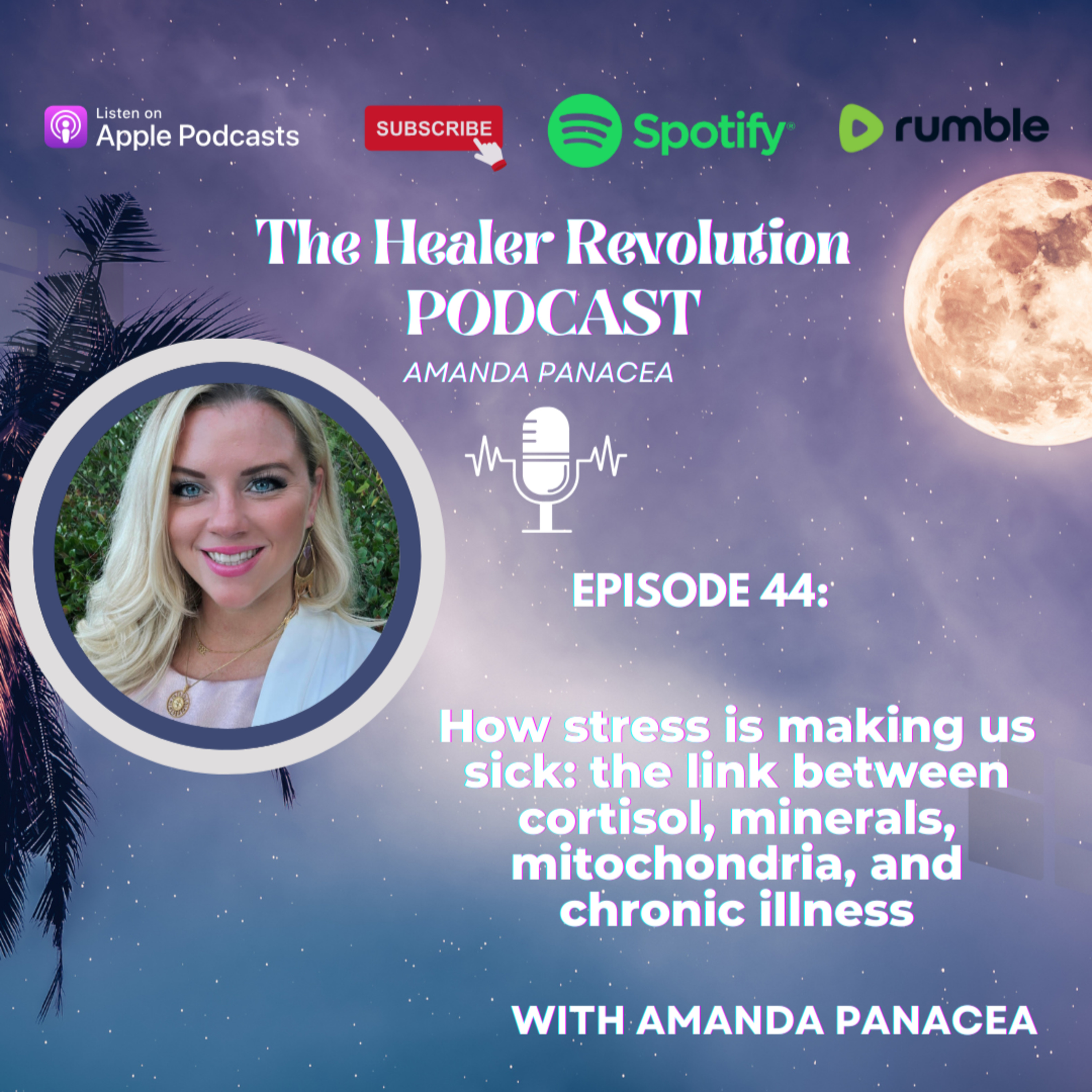 44. How stress is making us sick: The link between cortisol, minerals, mitochondria, and chronic illness