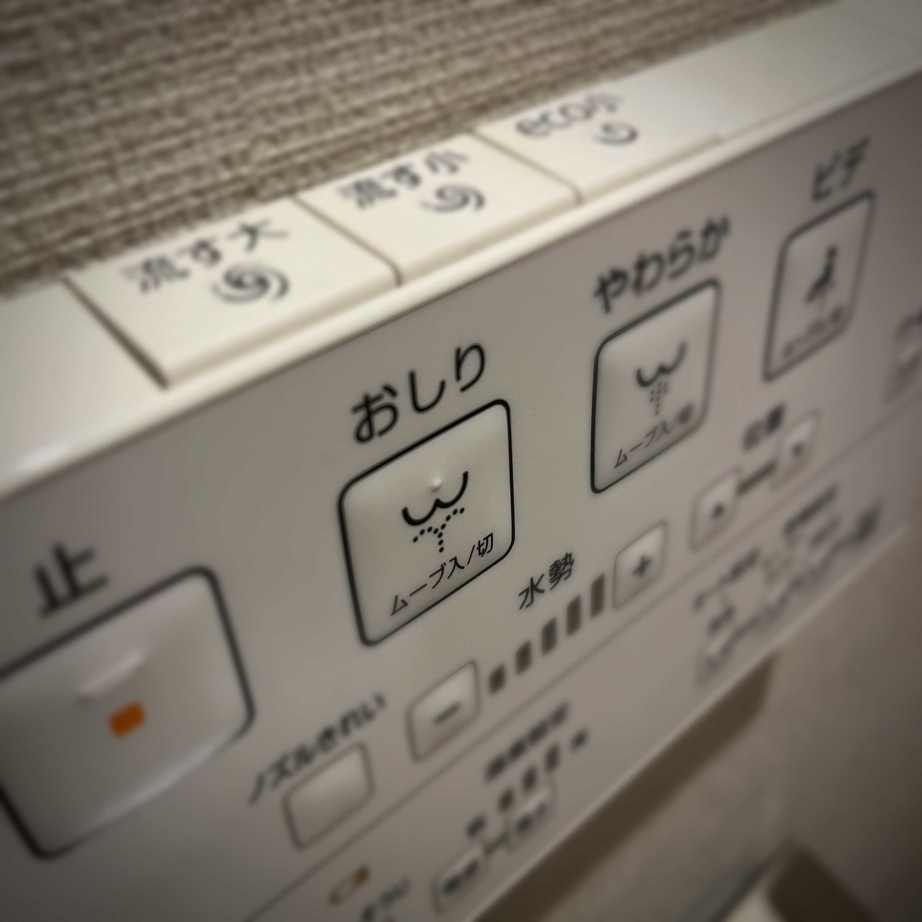 FLT No.183新社会人、3ヶ月続いた下痢が止まった理由