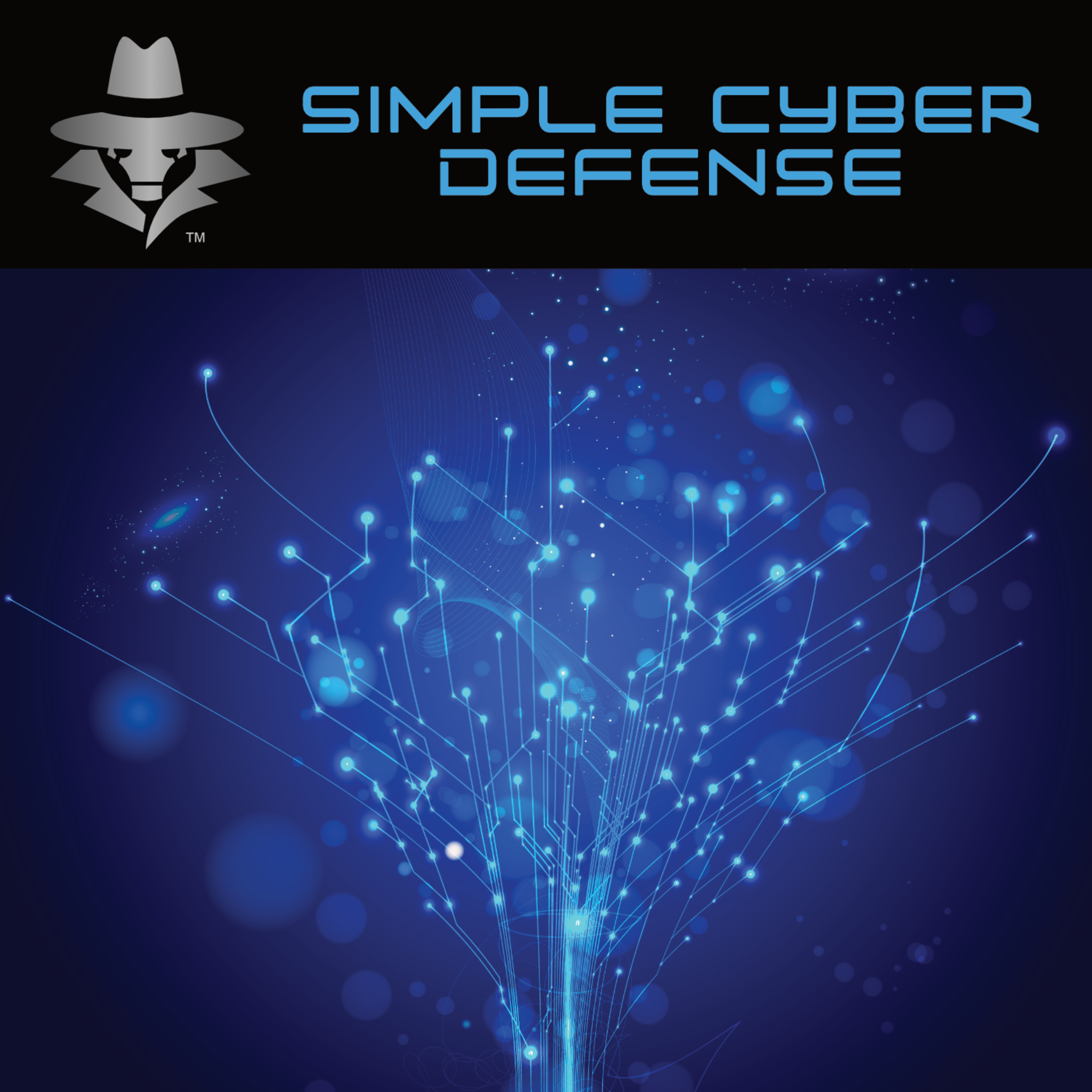 Cybersecurity in 2024: Major Threats and Lessons Learned