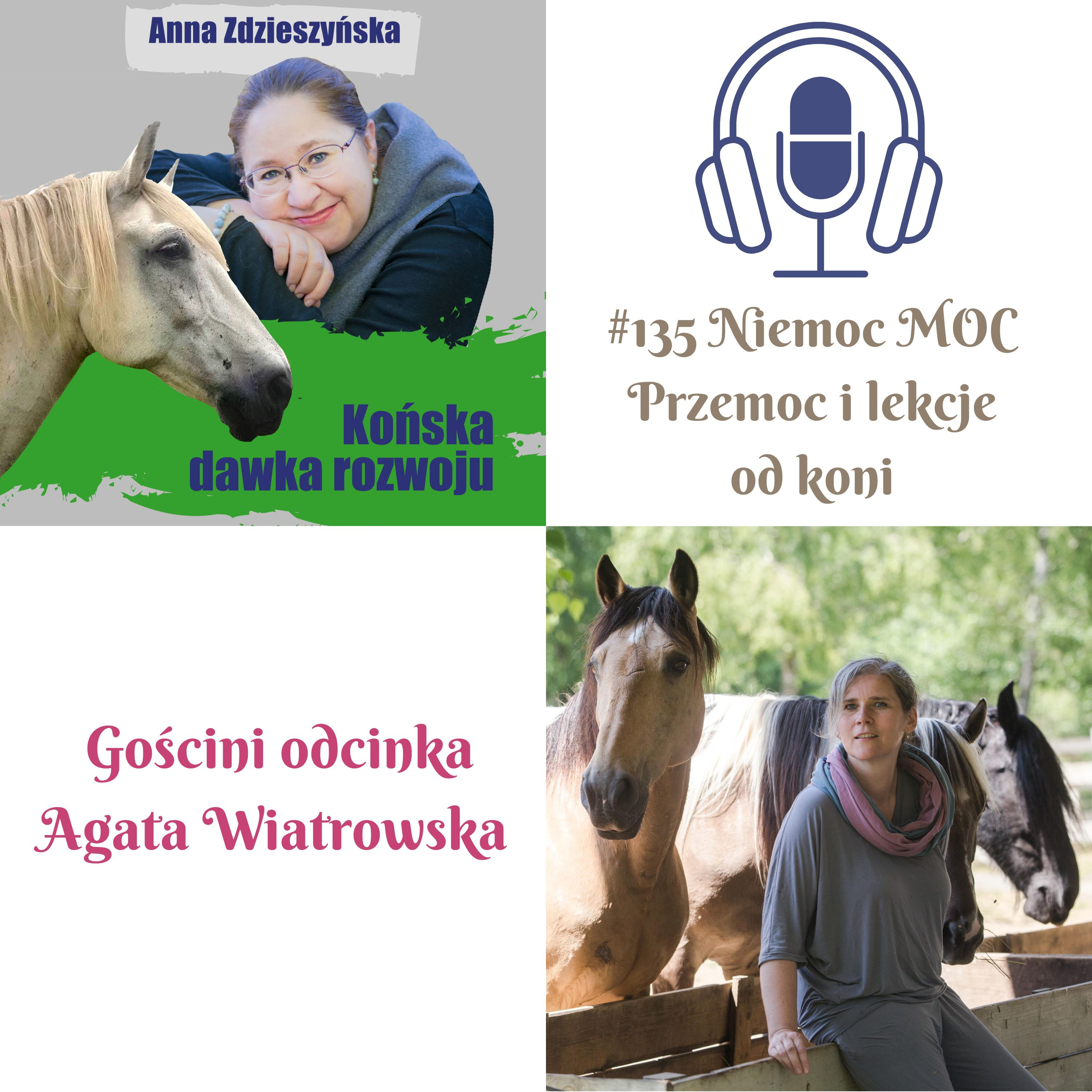 #136 Niemoc MOC Przemoc i lekcje od koni – Gościni odcinka Agata Wiatrowska episode artwork