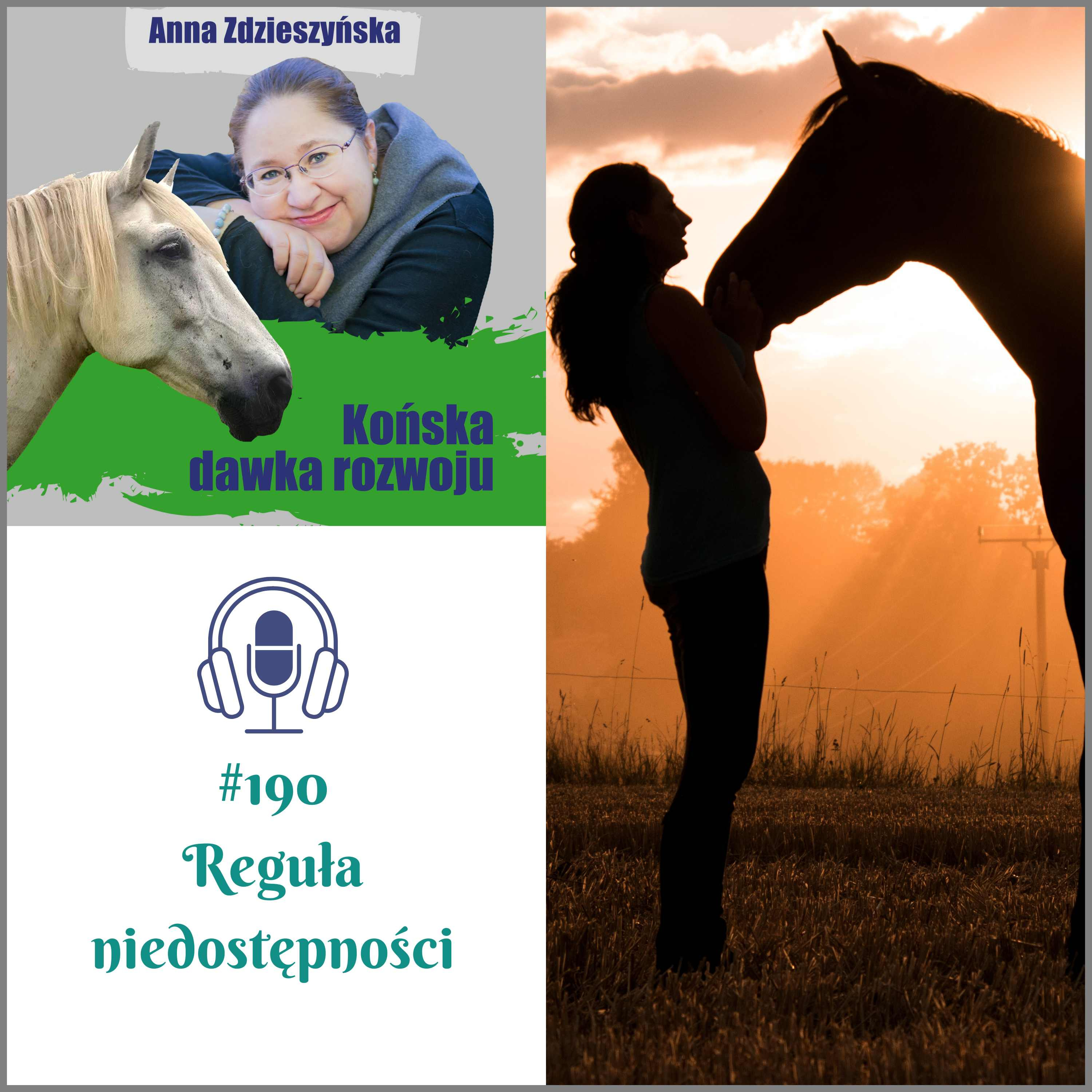 #190 Reguła niedostępności episode artwork