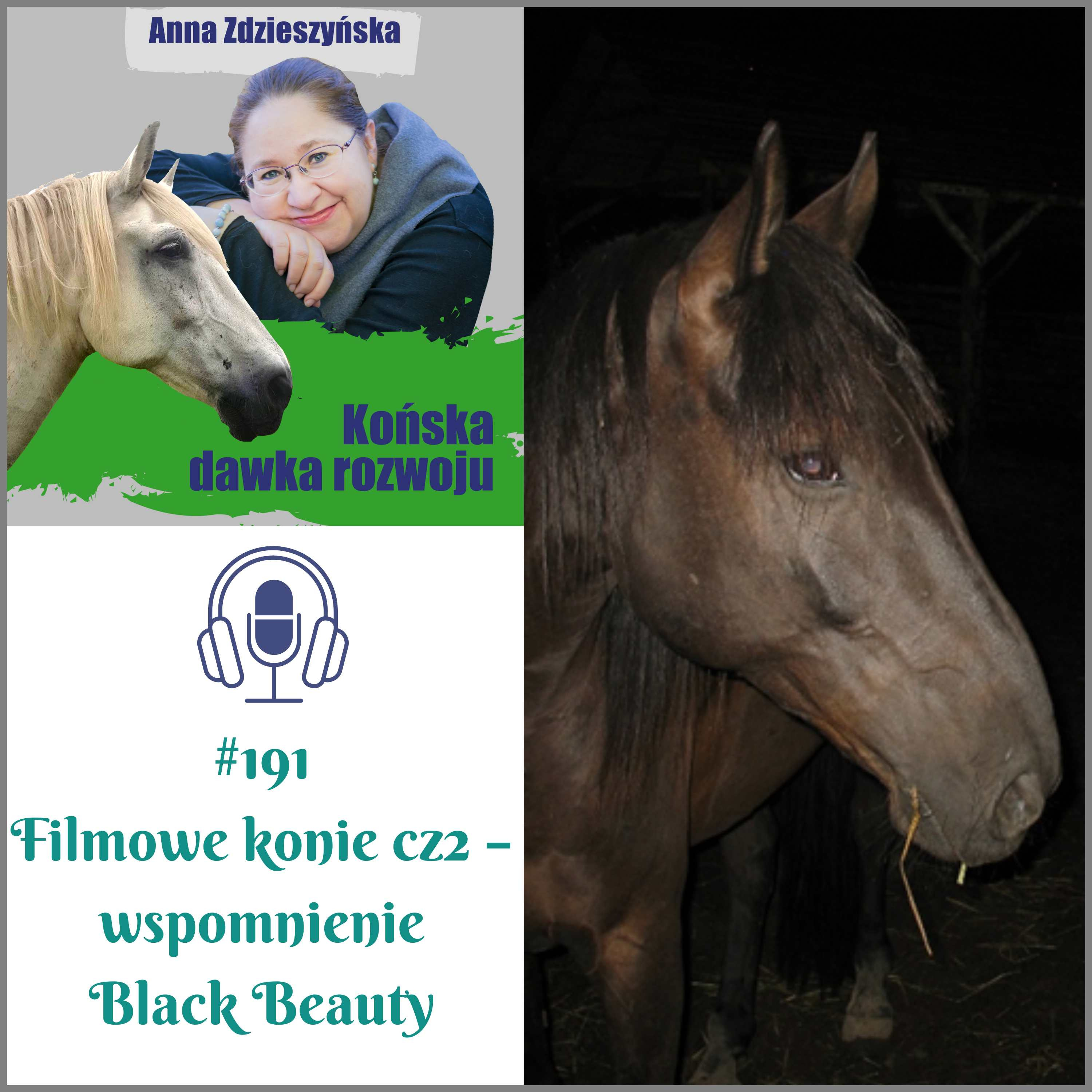 #191 Filmowe konie cz2 – wspomnienie Black Beauty episode artwork