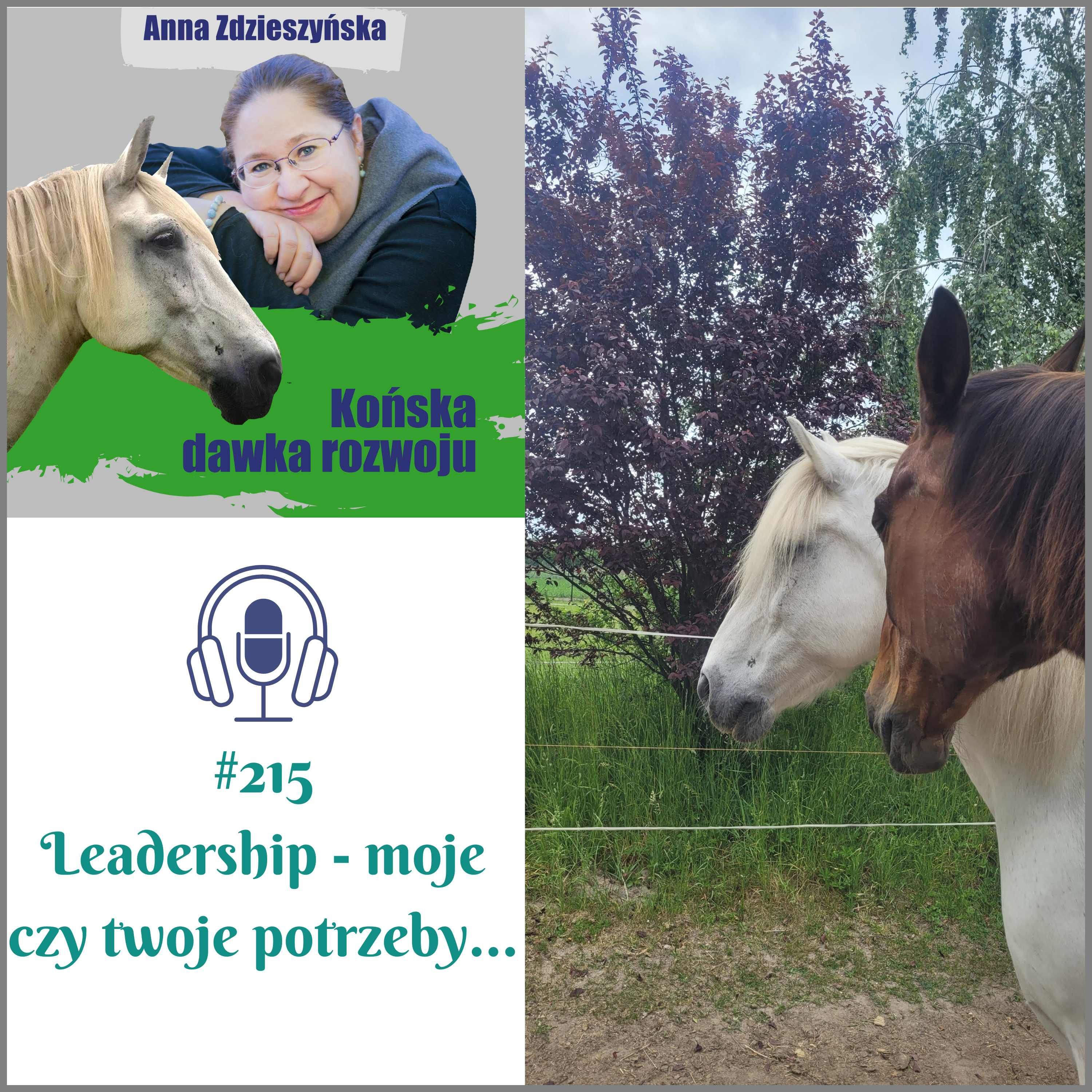 #215 Leadership - moje czy twoje potrzeby… episode artwork