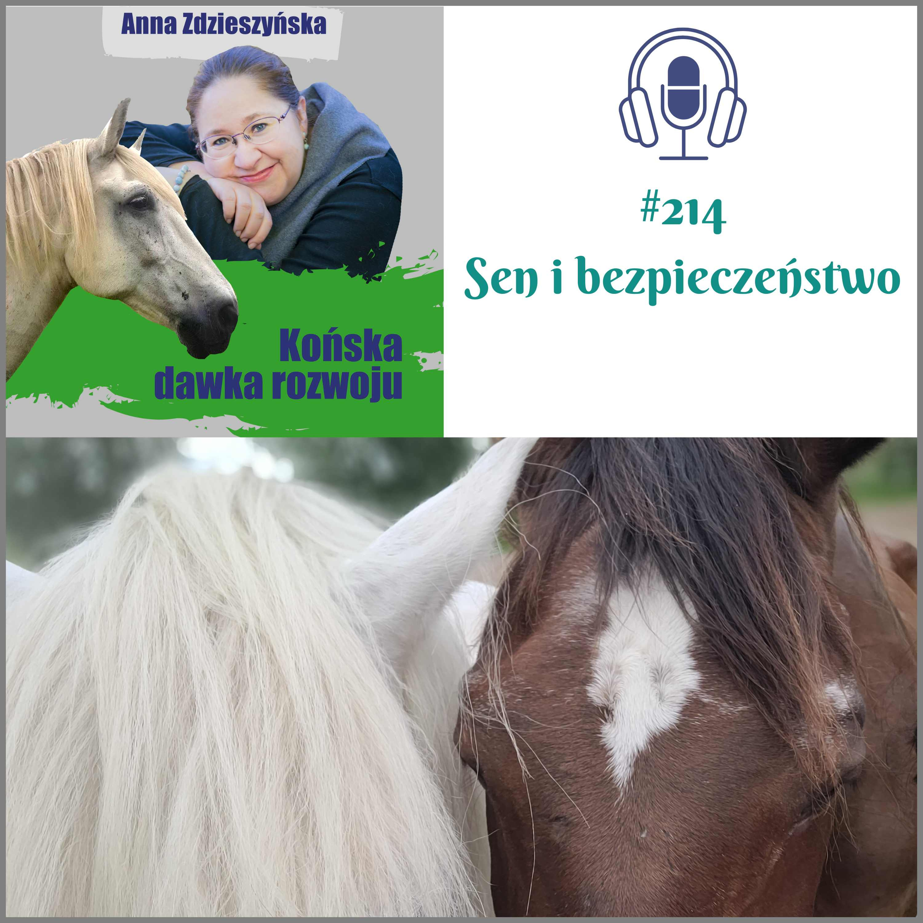 #214 Sen i bezpieczeństwo episode artwork