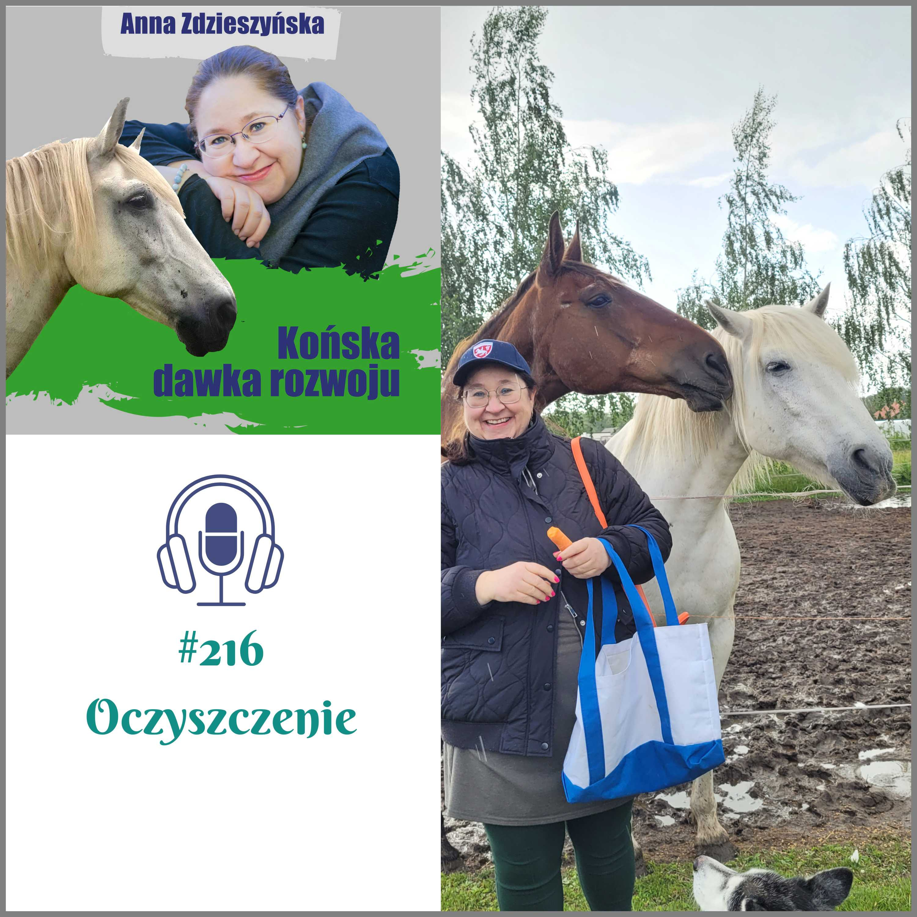#216 Oczyszczenie episode artwork