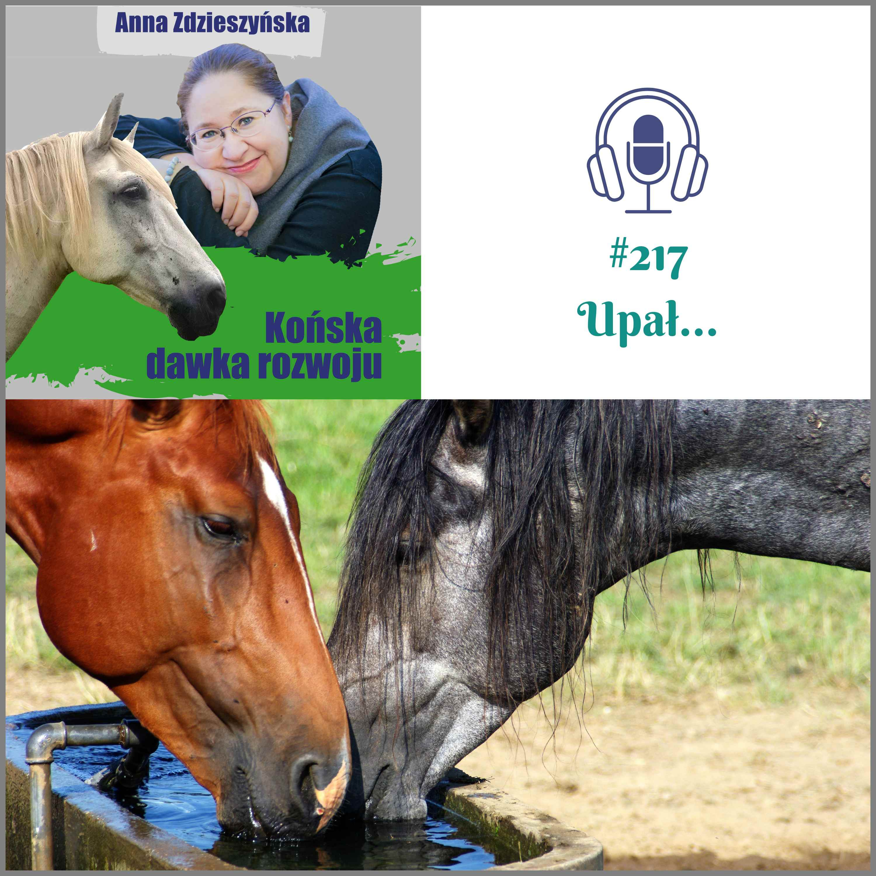 #217 Upał… episode artwork