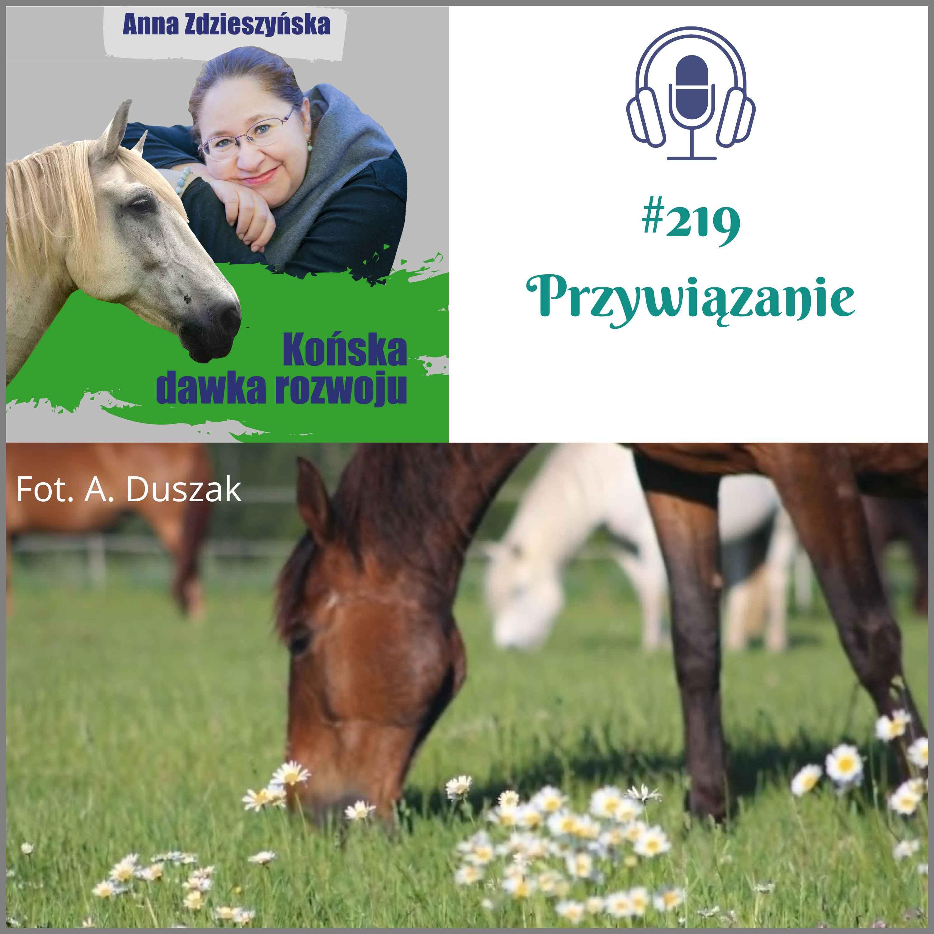 #219 Przywiązanie episode artwork