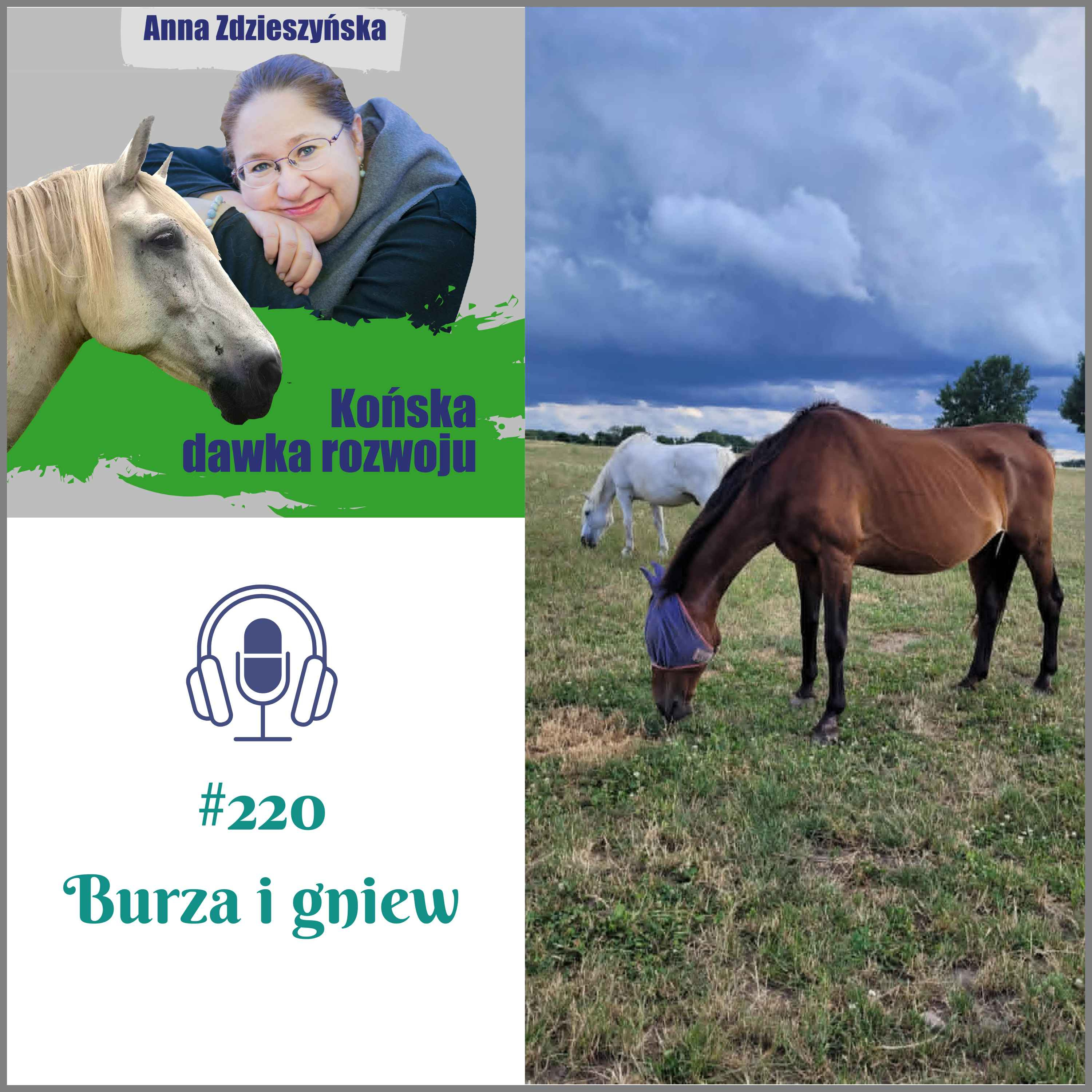 #220 Burza i gniew episode artwork