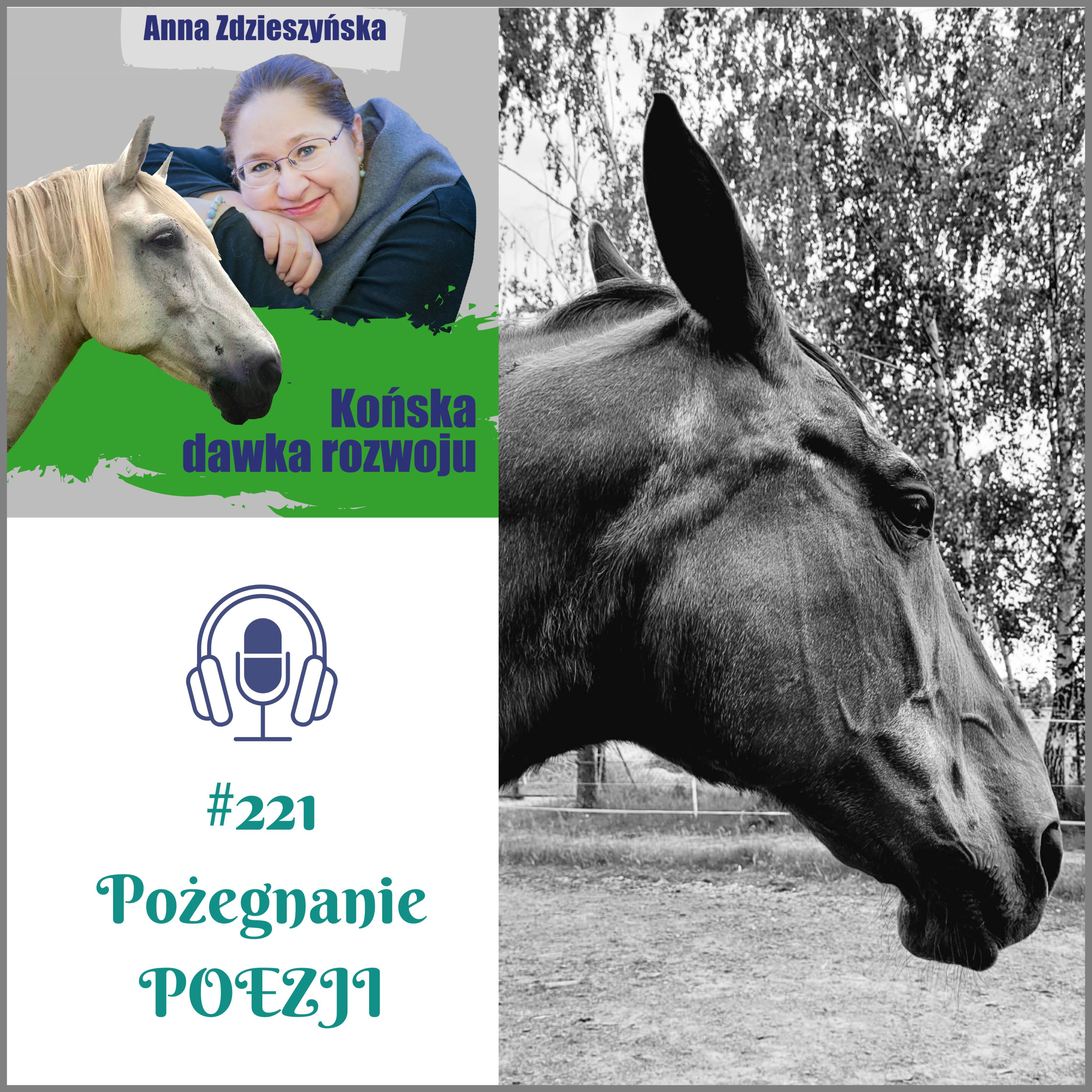 #221 Pożegnanie Poezji episode artwork